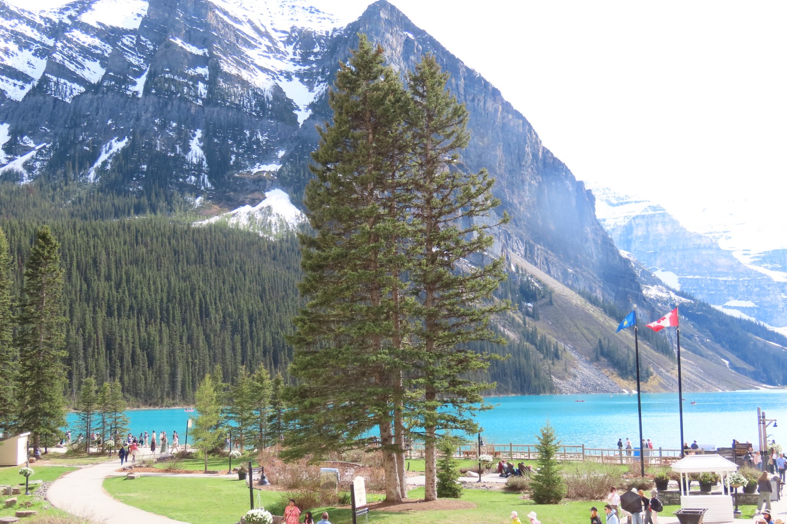 Lake Louise AB 29 of 30 (#8118)