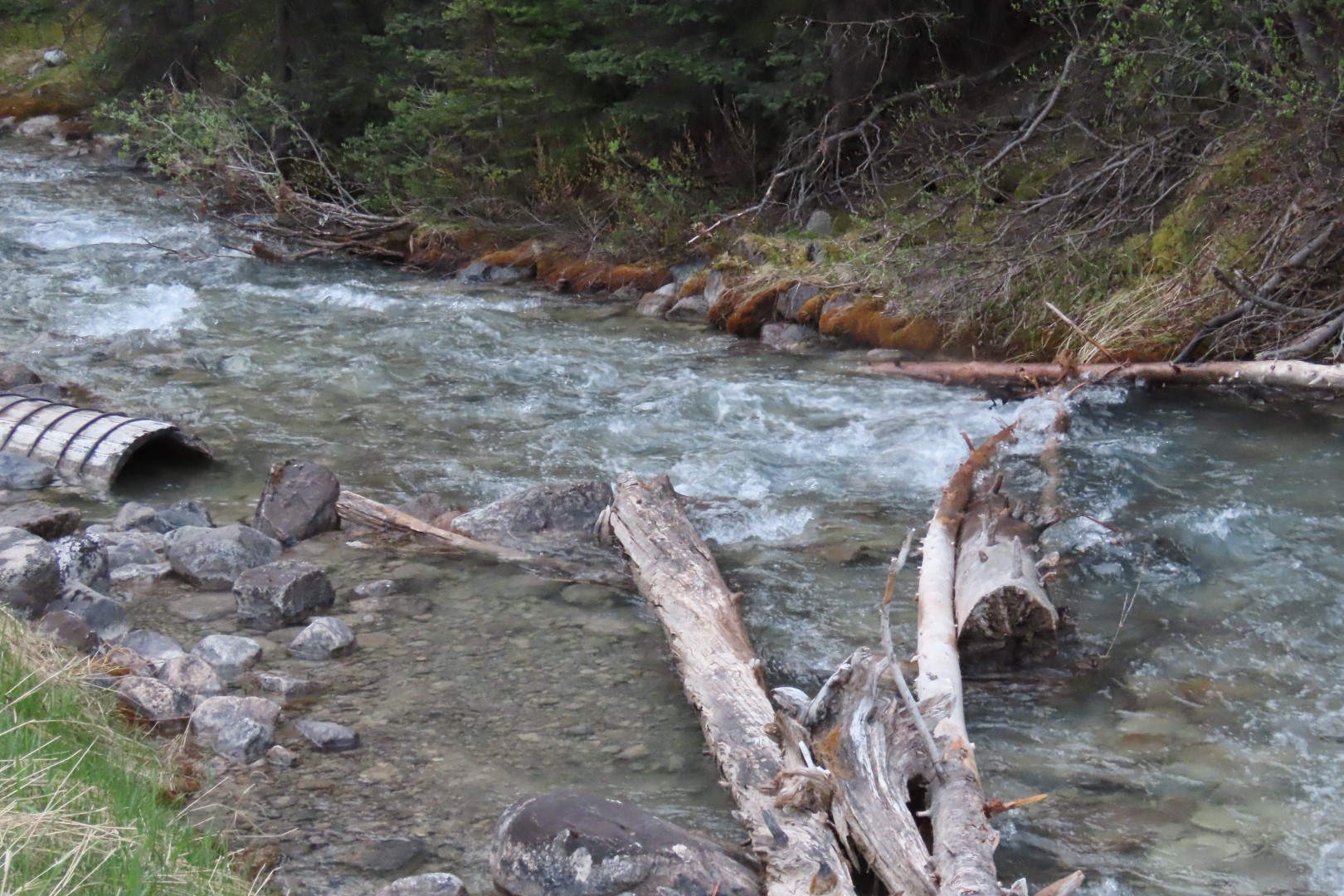 Stream feeding Lake Louise AB 20 of 26 (#8126)