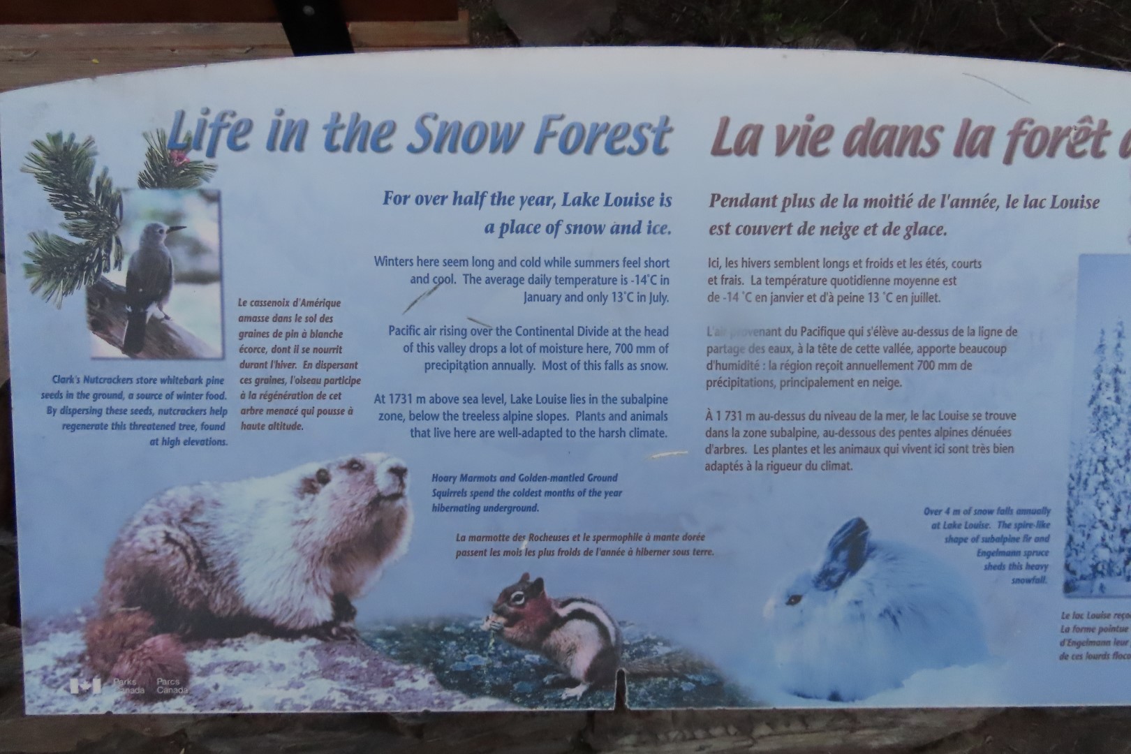 Signs at Lake Louise AB 22 of 26 (#8128)