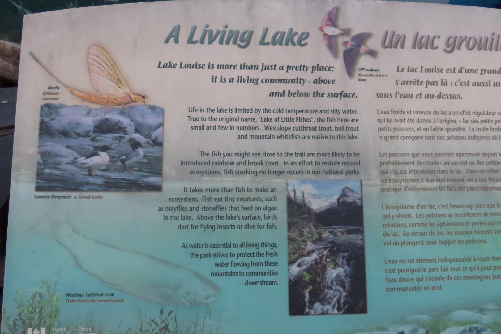 Signs at Lake Louise AB 26 of 26 (#8145)