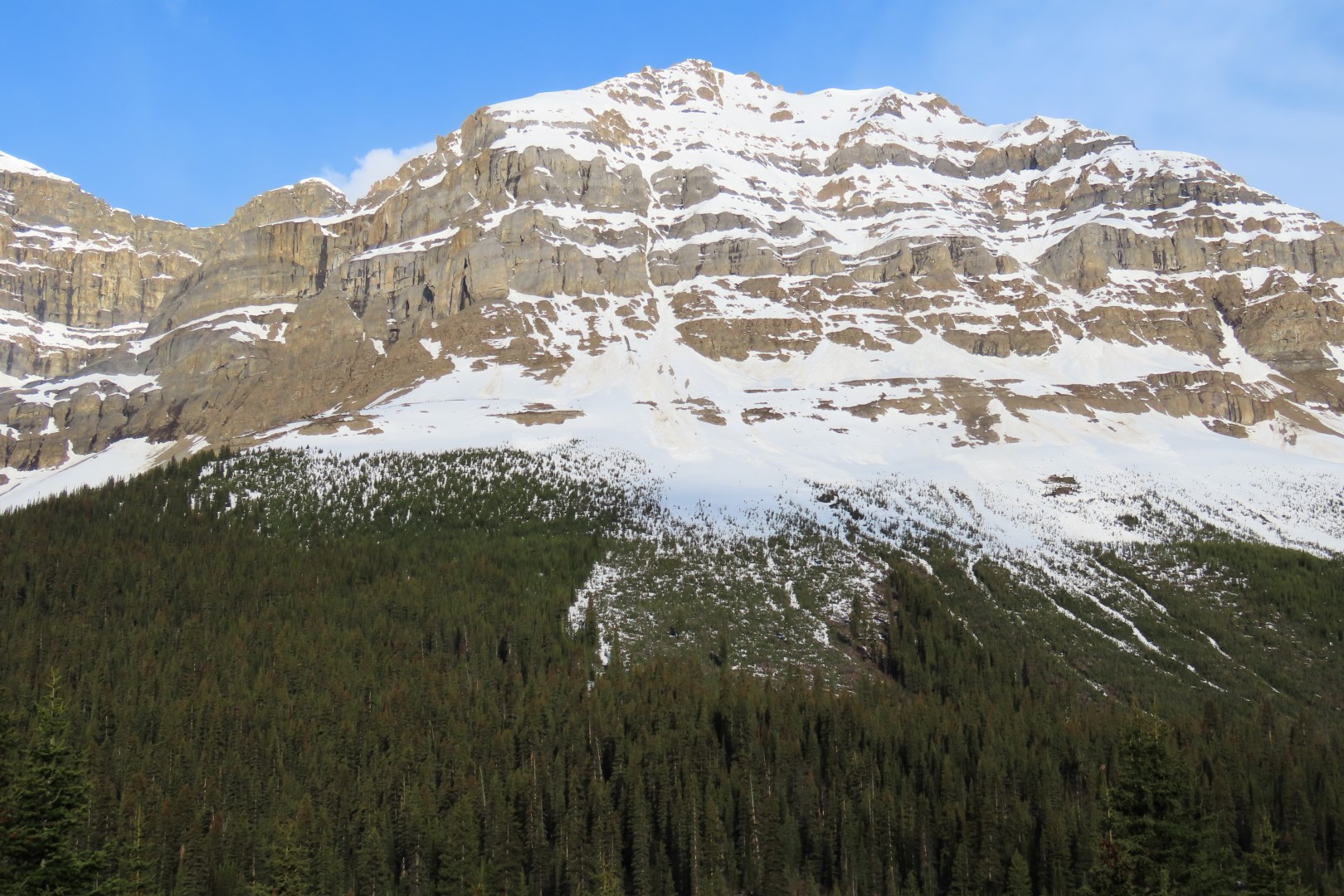 Along the highway thru Jasper National Park  2 of  6 (#8152)