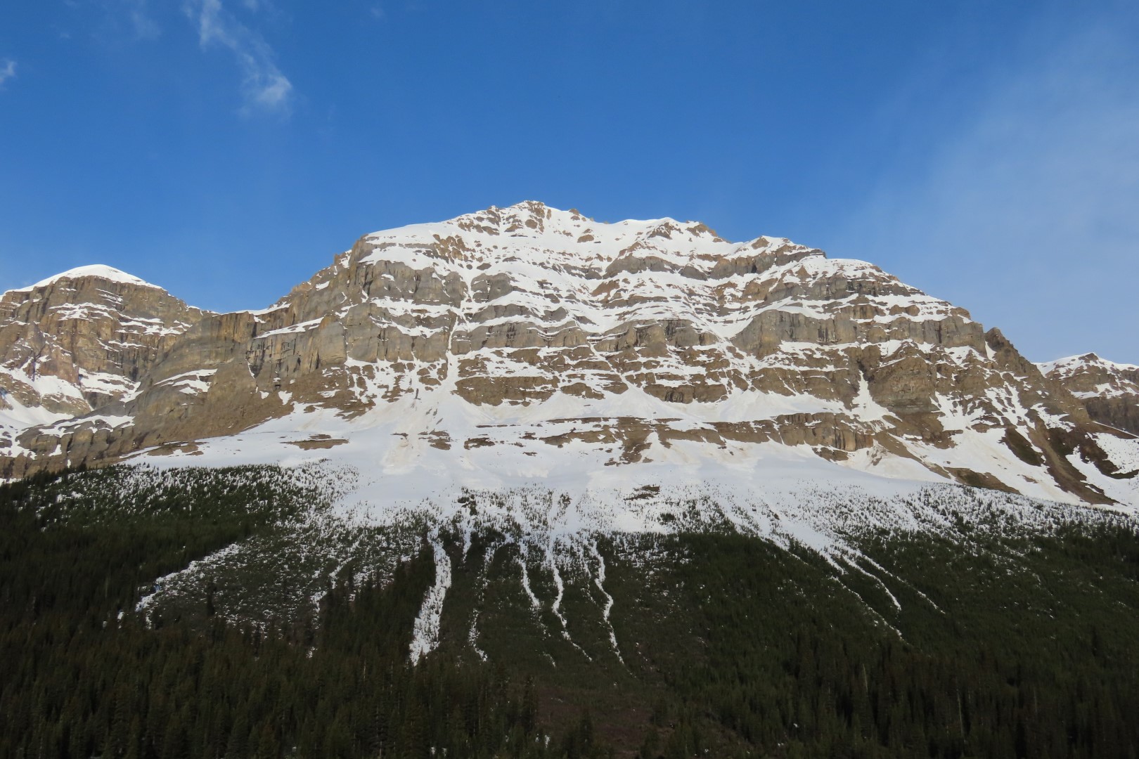 Along the highway thru Jasper National Park  3 of  6 (#8153)