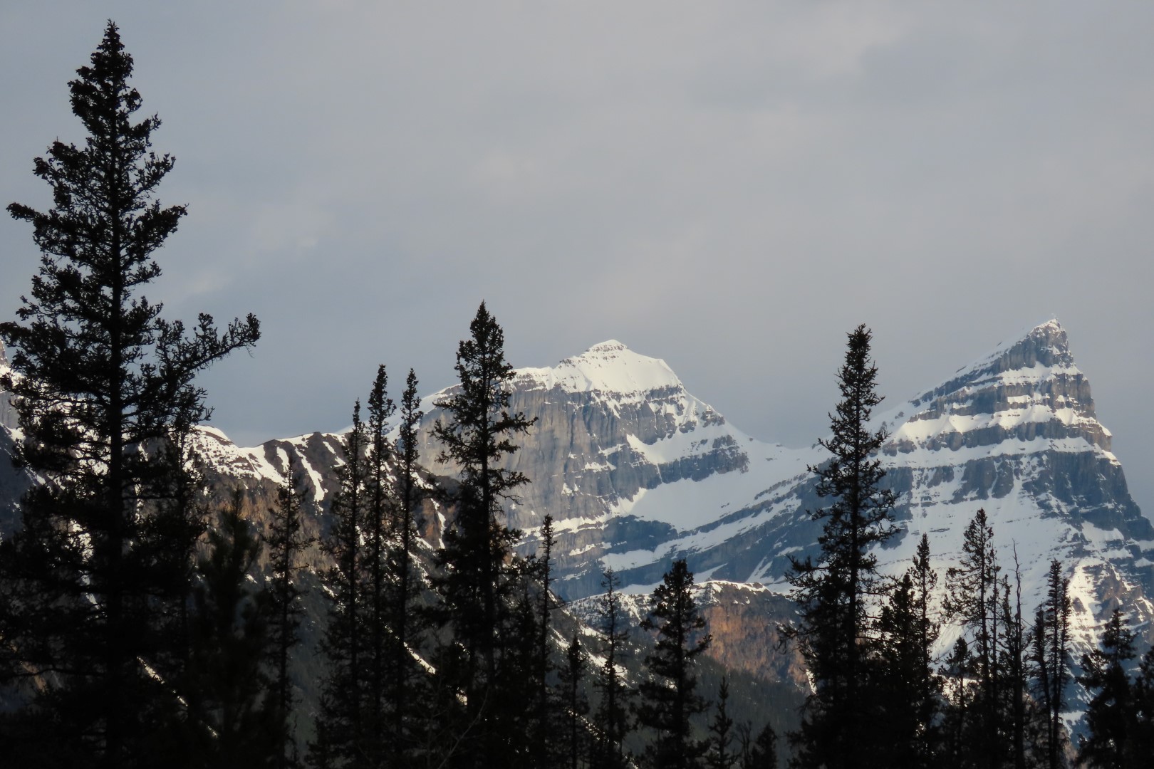 Along the highway thru Jasper National Park  4 of  6 (#8154)