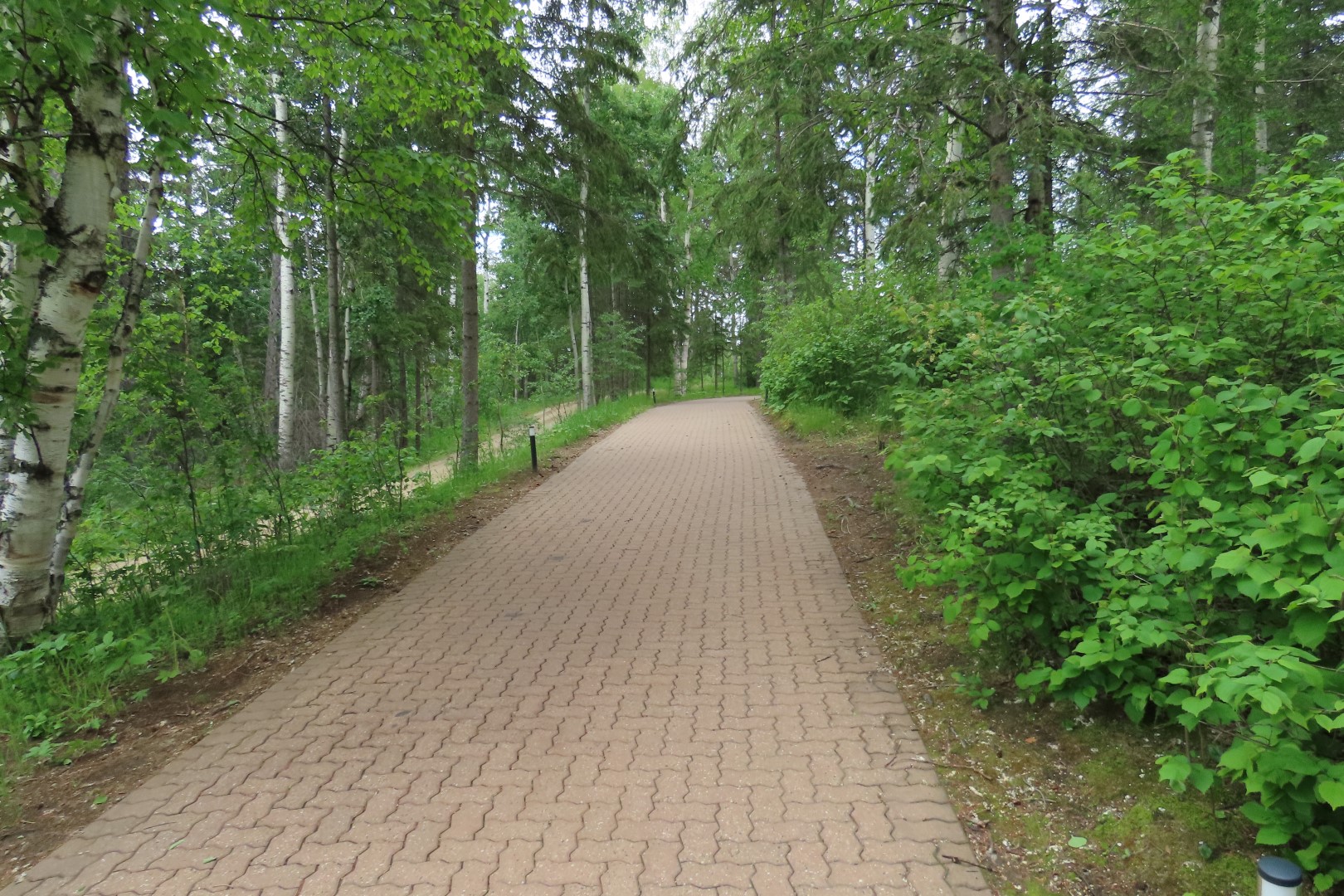 University of Alberta Botanical Gardens  2 of 62 (#8159)