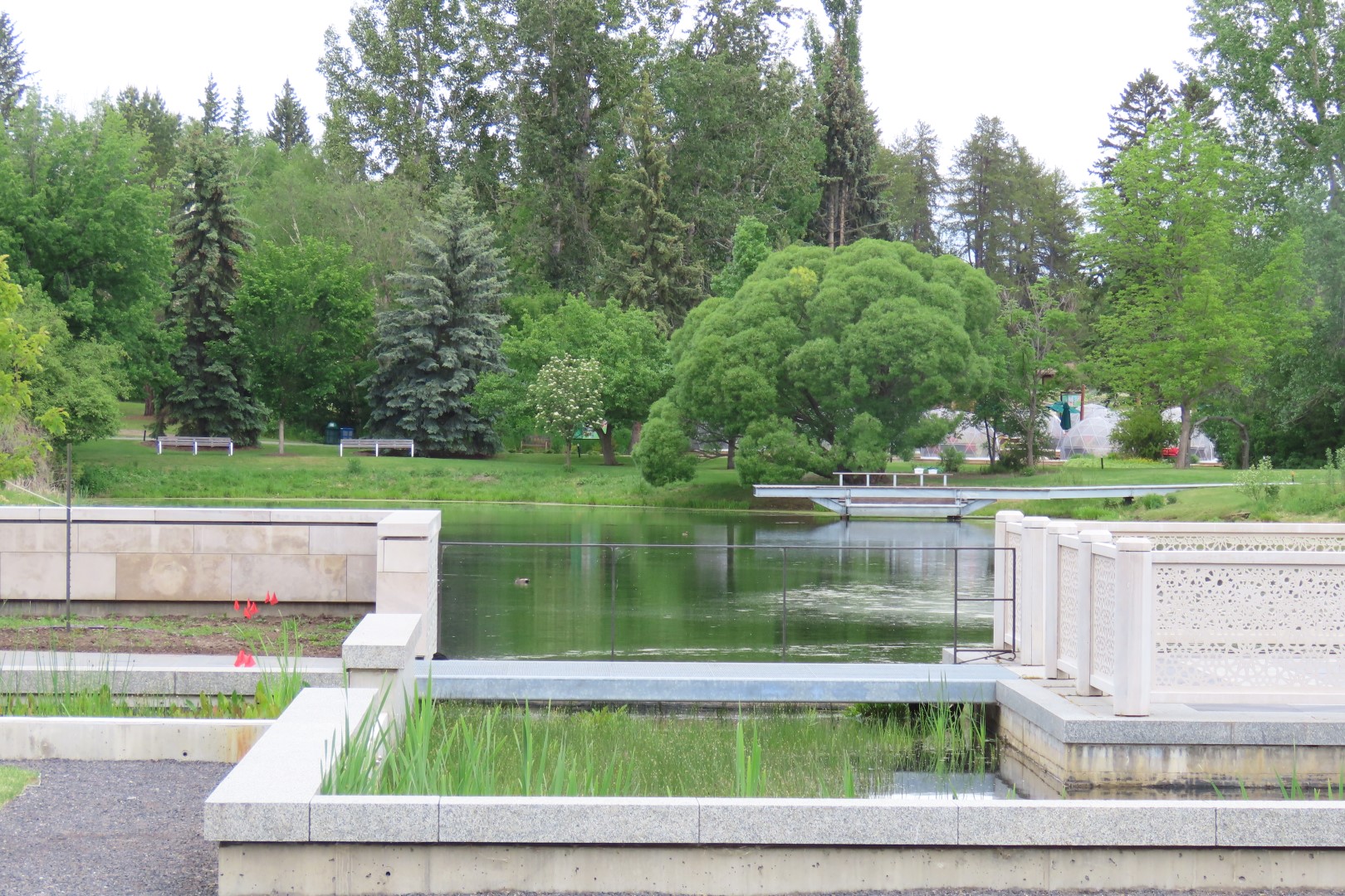 University of Alberta Botanical Gardens  7 of 62 (#8164)