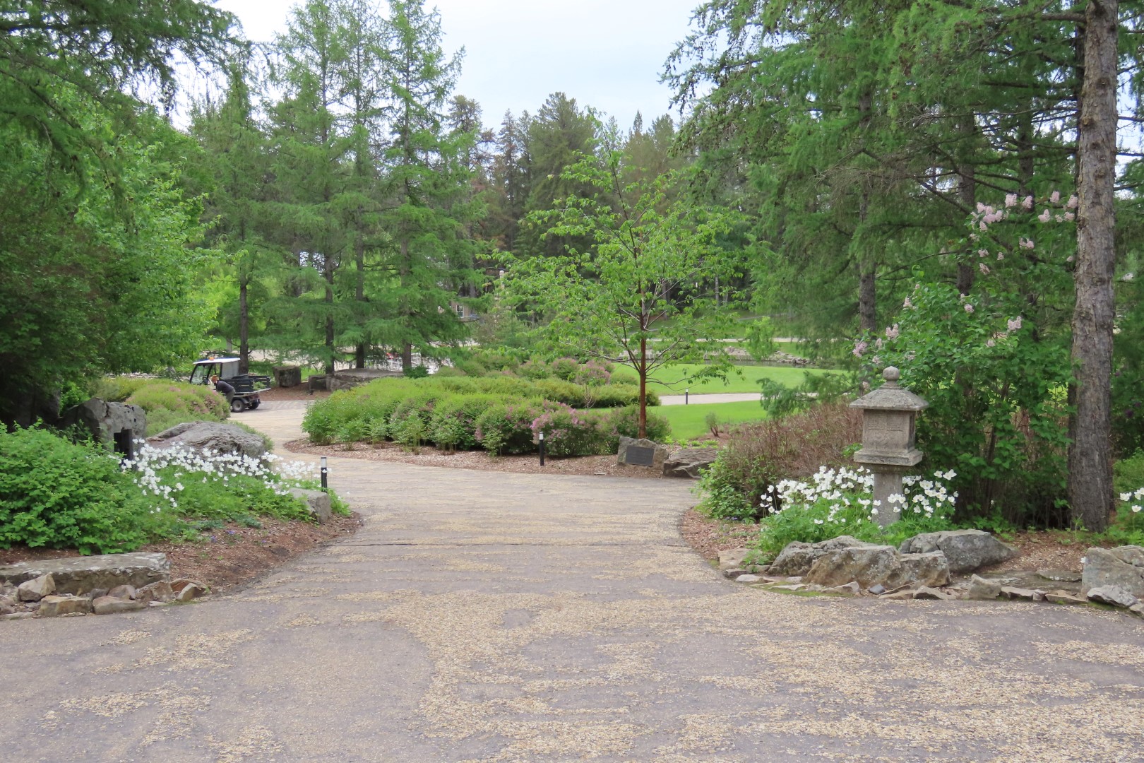 University of Alberta Botanical Gardens 20 of 62 (#8177)