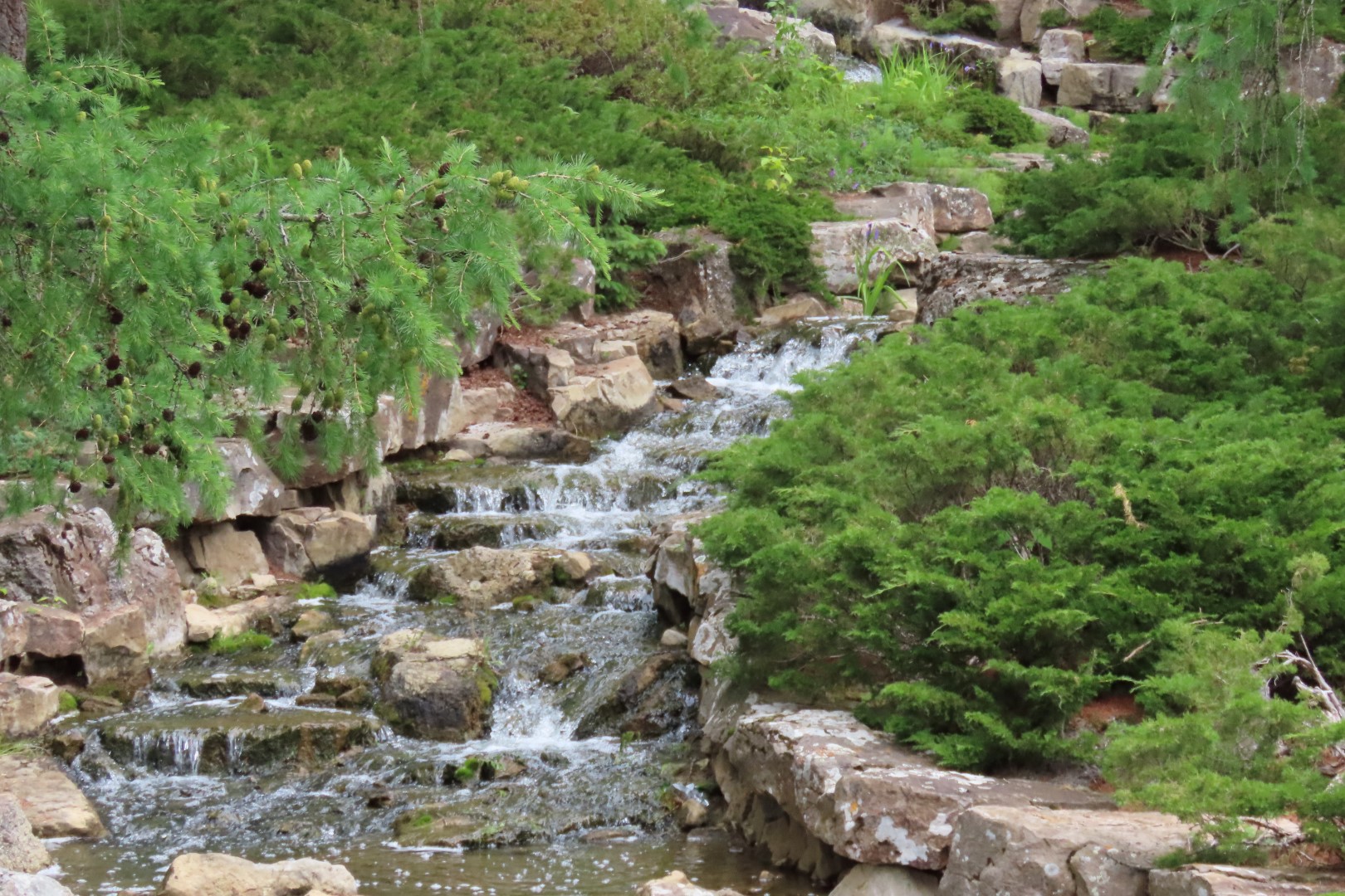 University of Alberta Botanical Gardens 24 of 62 (#8181)