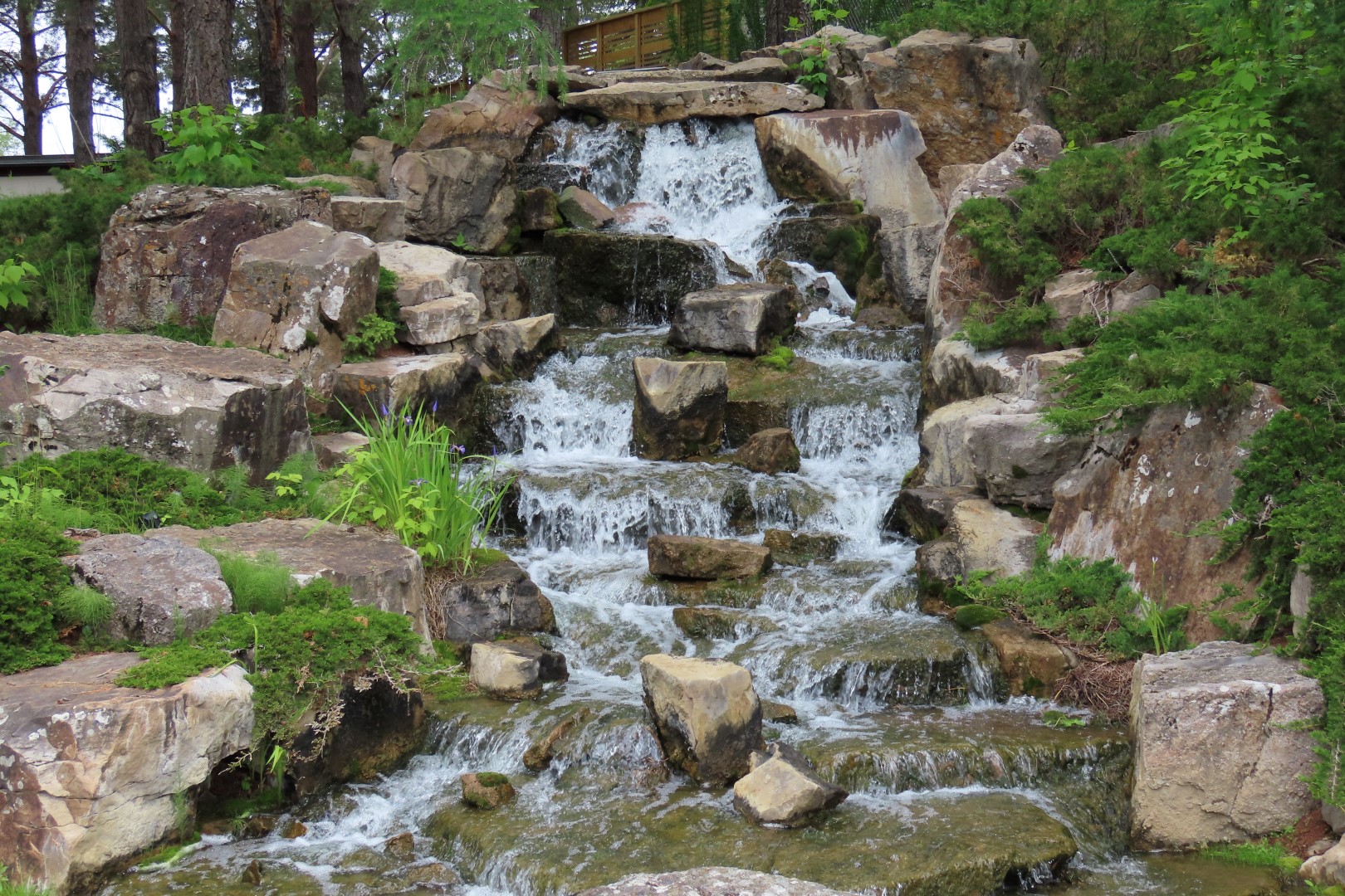 University of Alberta Botanical Gardens 26 of 62 (#8183)