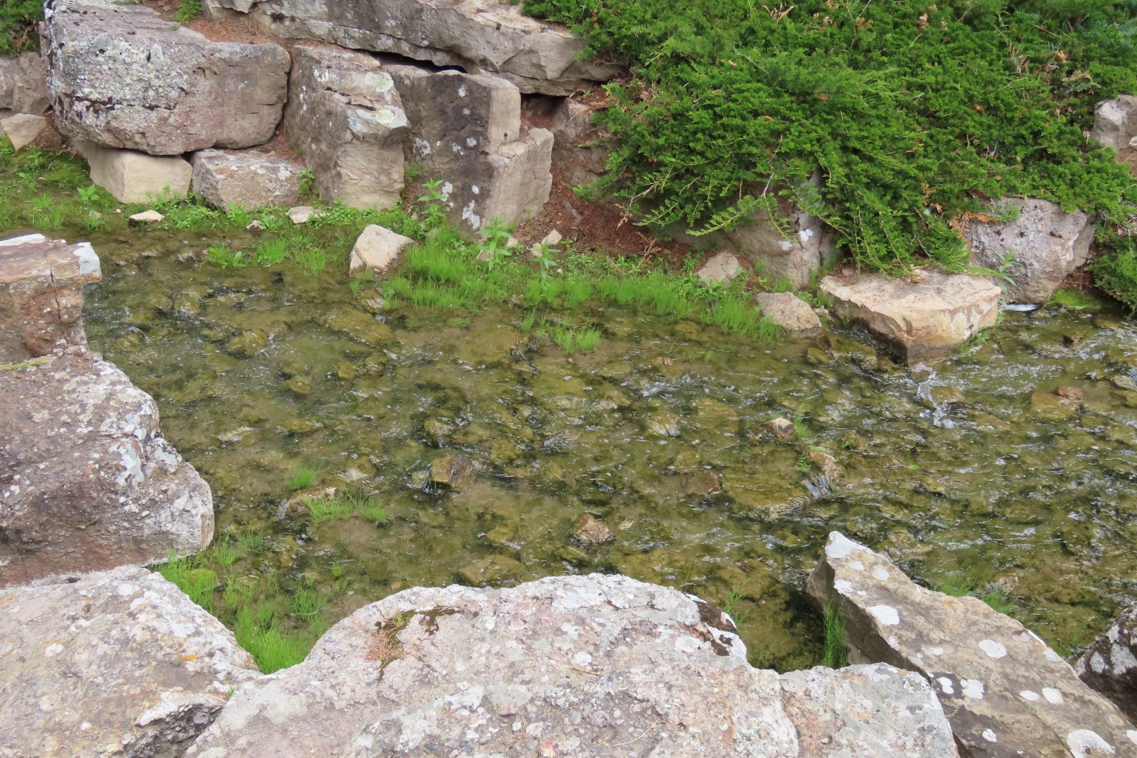 University of Alberta Botanical Gardens 27 of 62 (#8184)