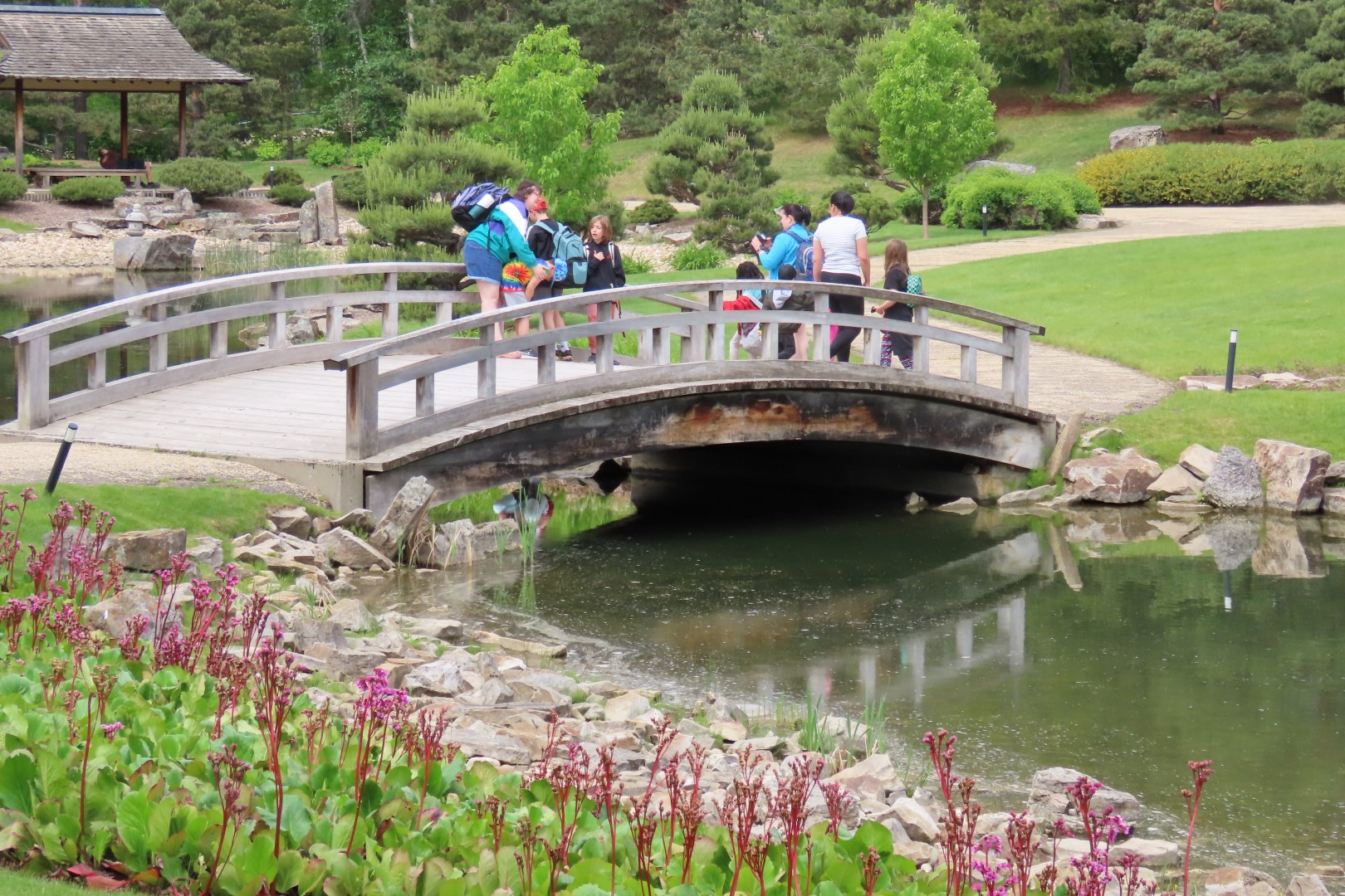 University of Alberta Botanical Gardens 35 of 62 (#8192)