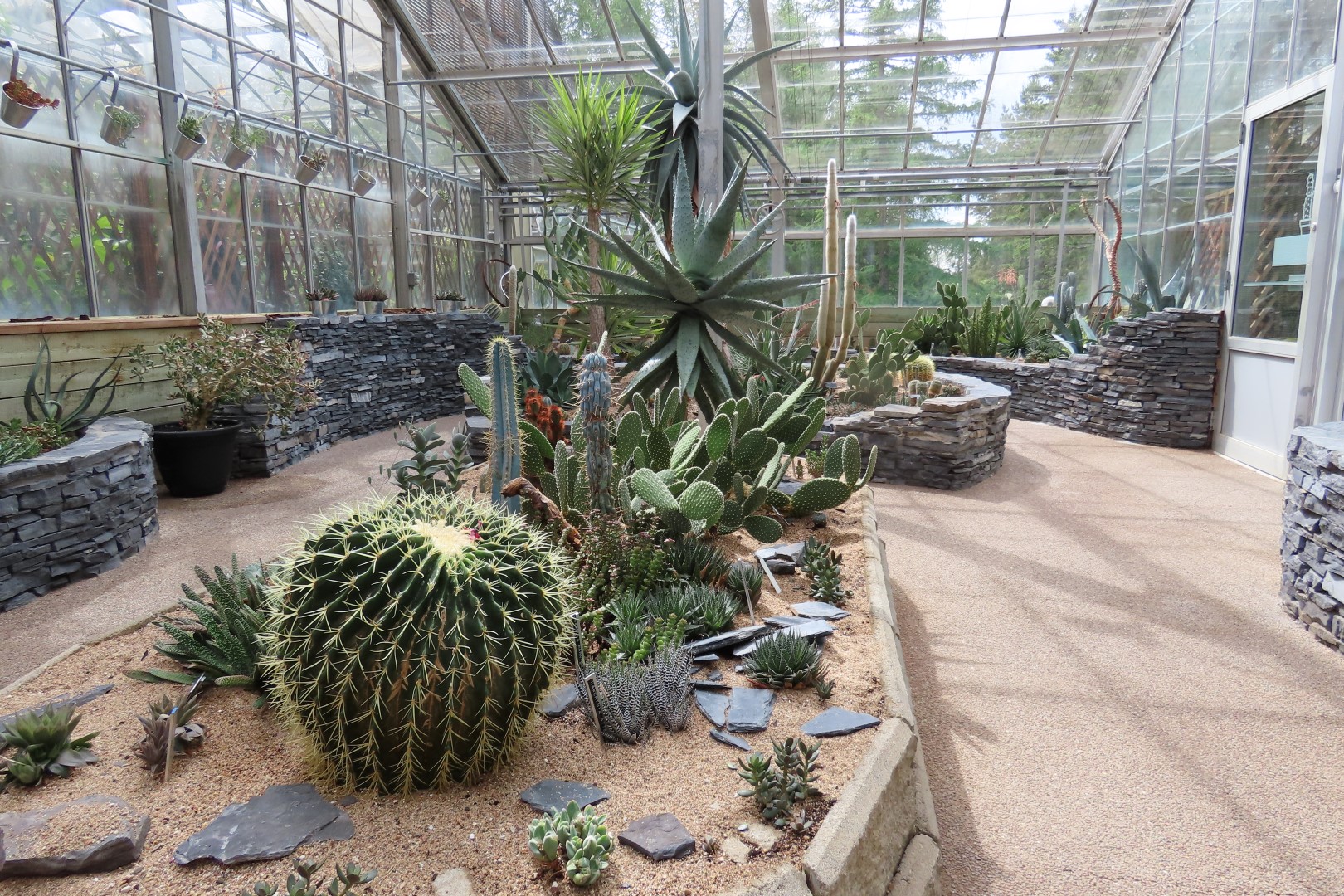 University of Alberta Botanical Gardens 41 of 62 (#8198)