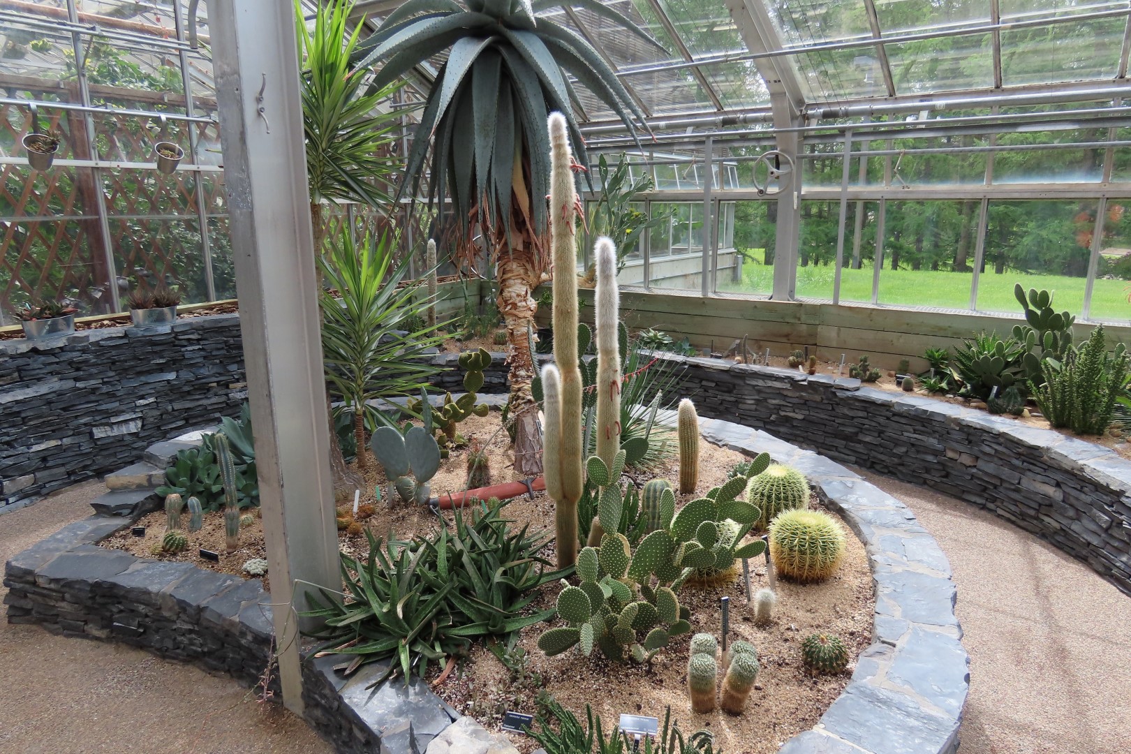 University of Alberta Botanical Gardens 42 of 62 (#8199)