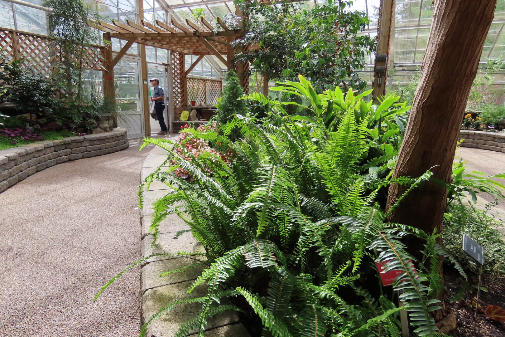 University of Alberta Botanical Gardens 44 of 62 (#8201)