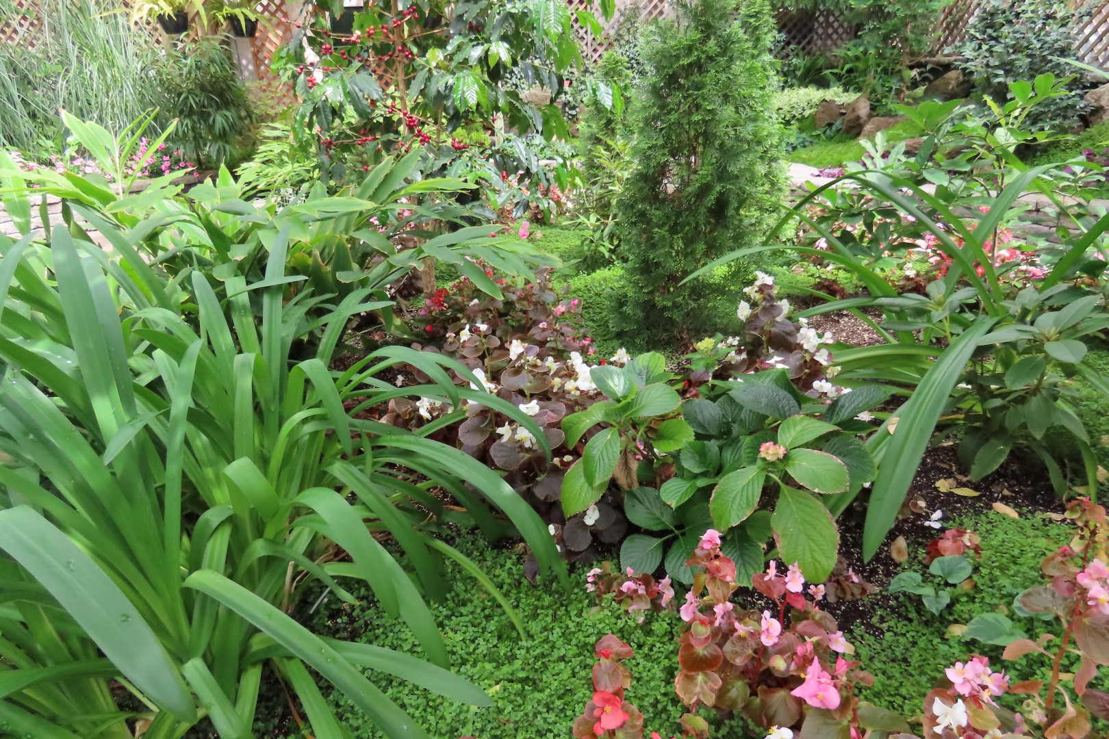 University of Alberta Botanical Gardens 48 of 62 (#8205)