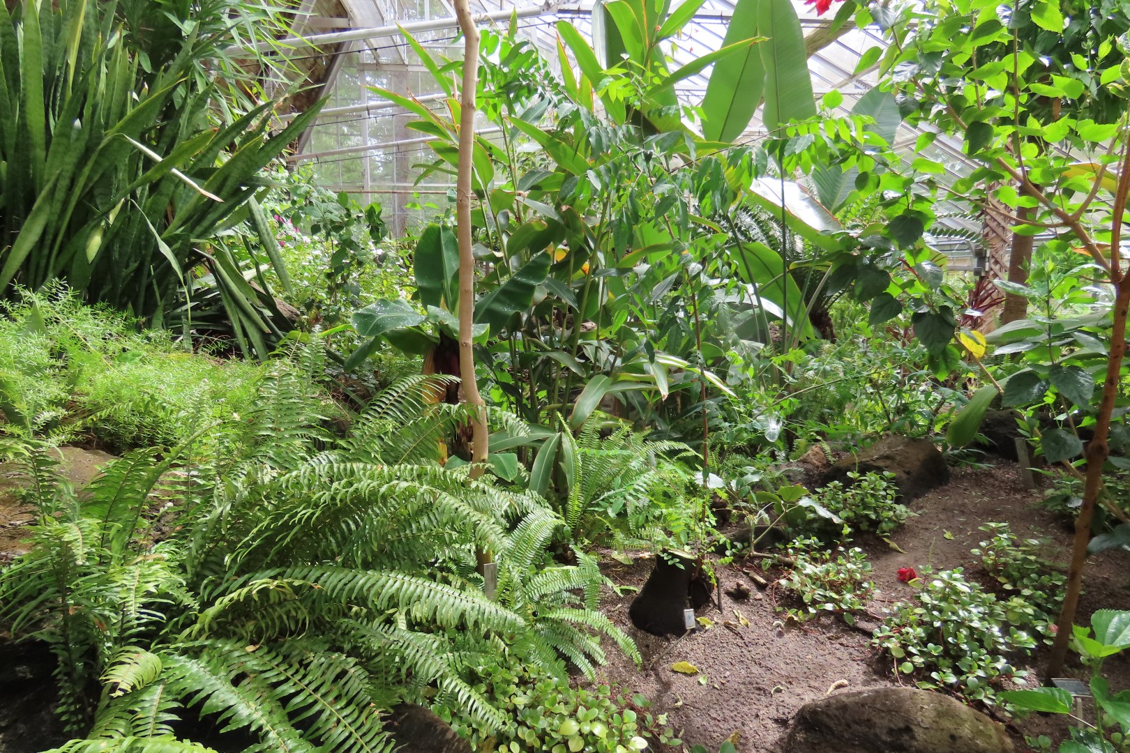 University of Alberta Botanical Gardens 49 of 62 (#8206)