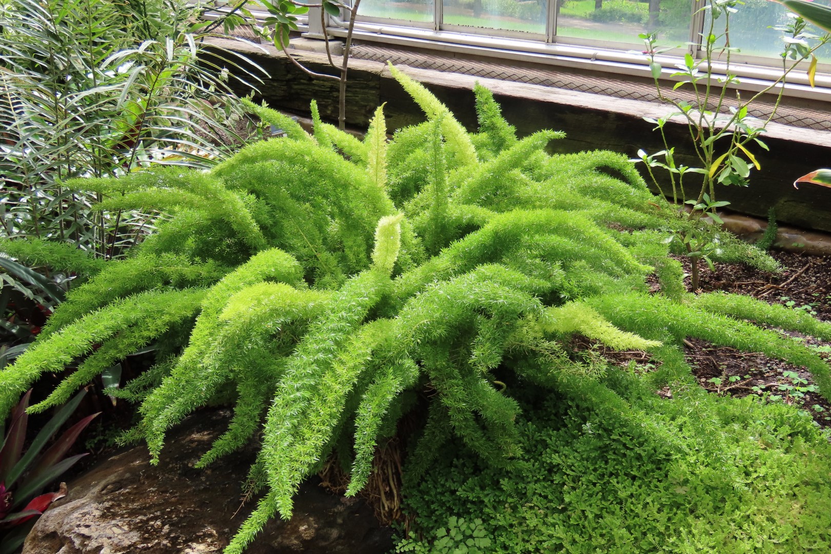 University of Alberta Botanical Gardens 51 of 62 (#8208)