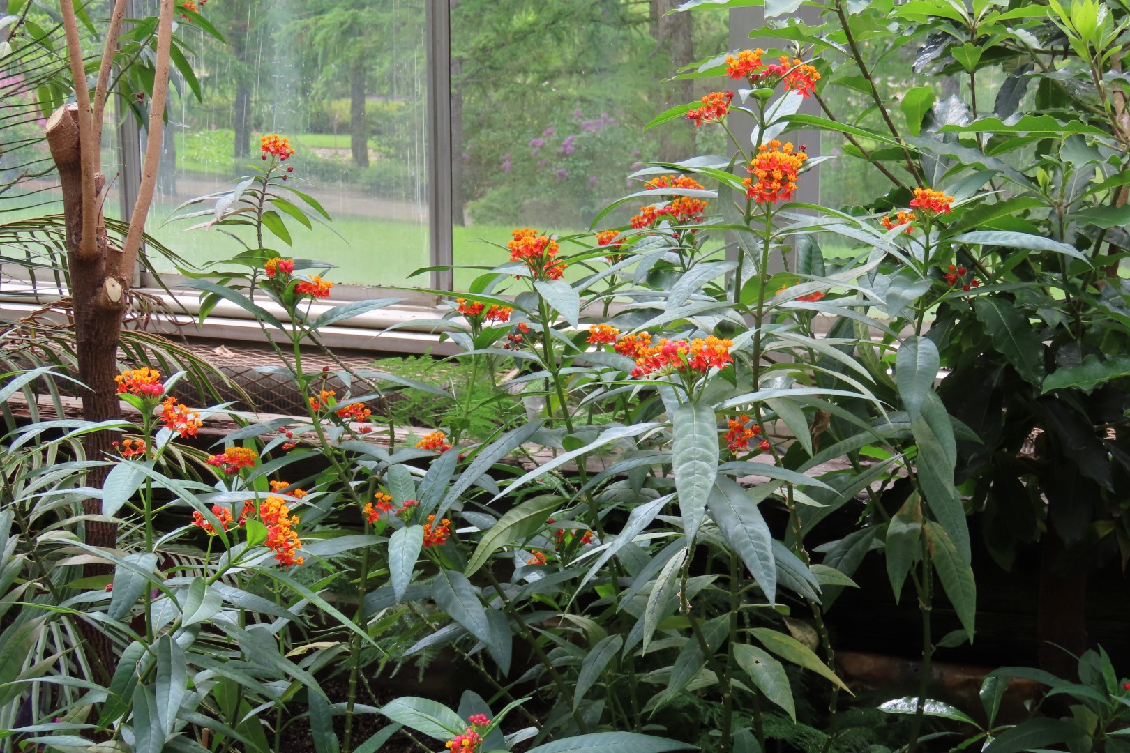 University of Alberta Botanical Gardens 52 of 62 (#8209)