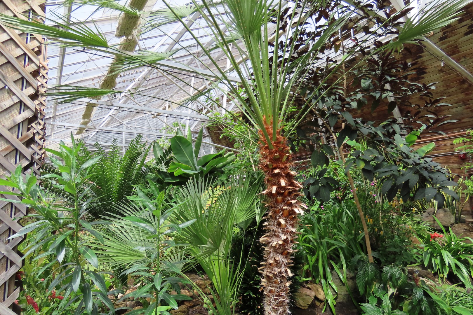 University of Alberta Botanical Gardens 54 of 62 (#8211)