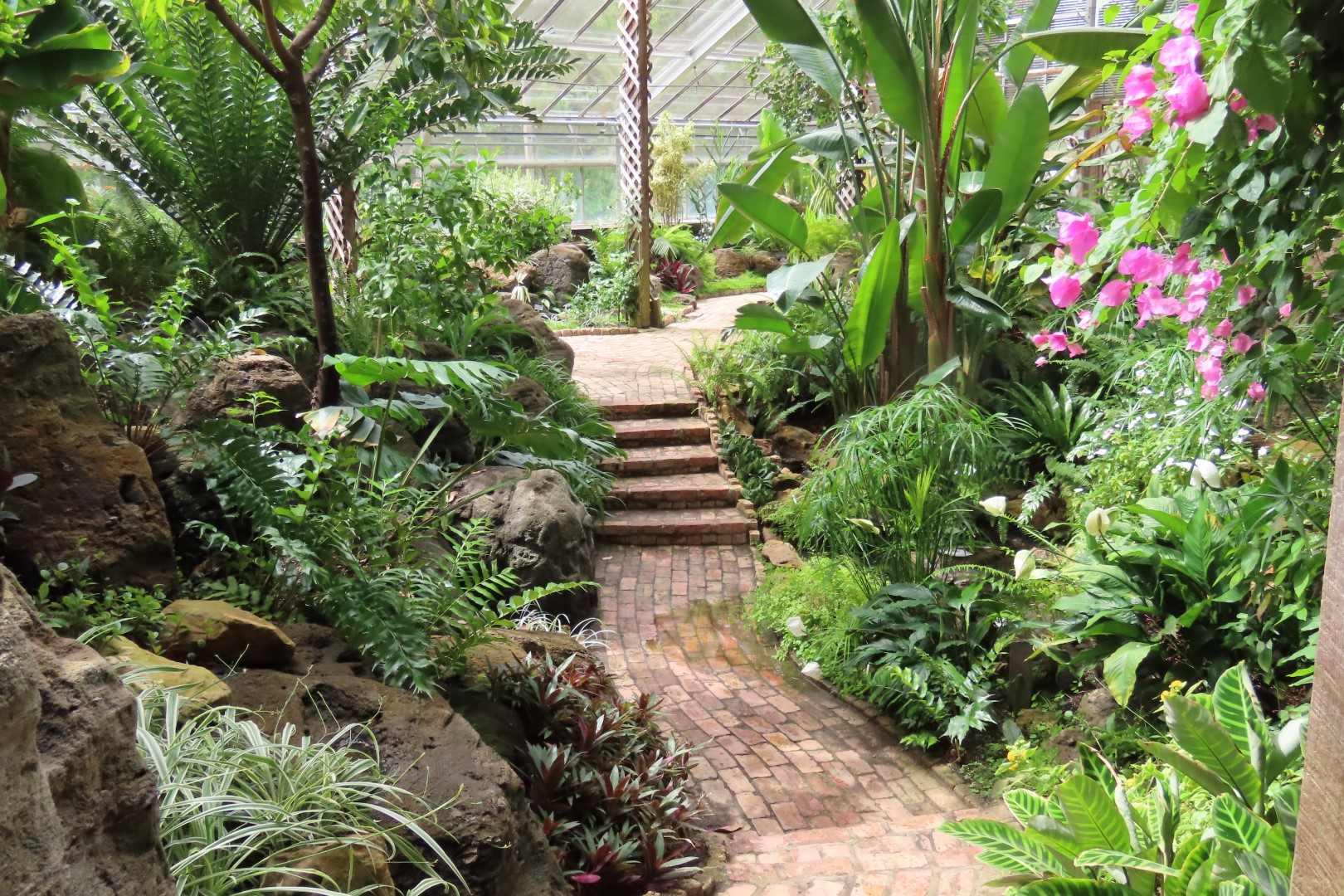 University of Alberta Botanical Gardens 56 of 62 (#8213)