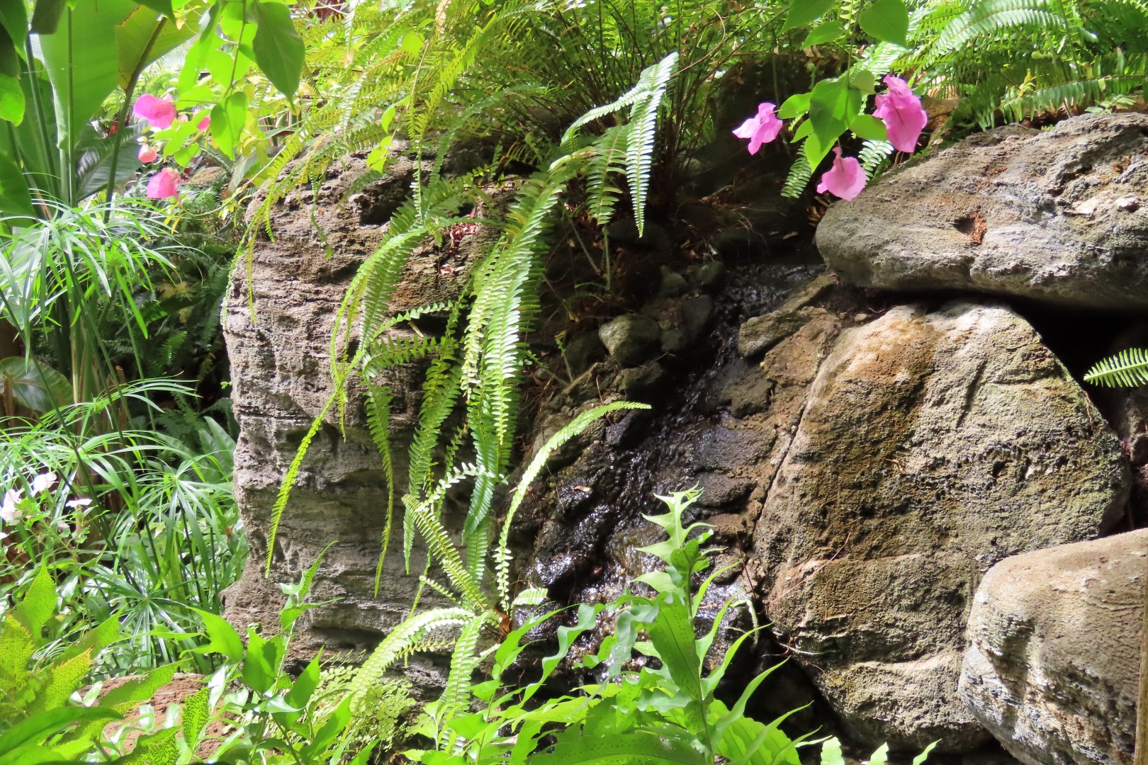 University of Alberta Botanical Gardens 57 of 62 (#8214)