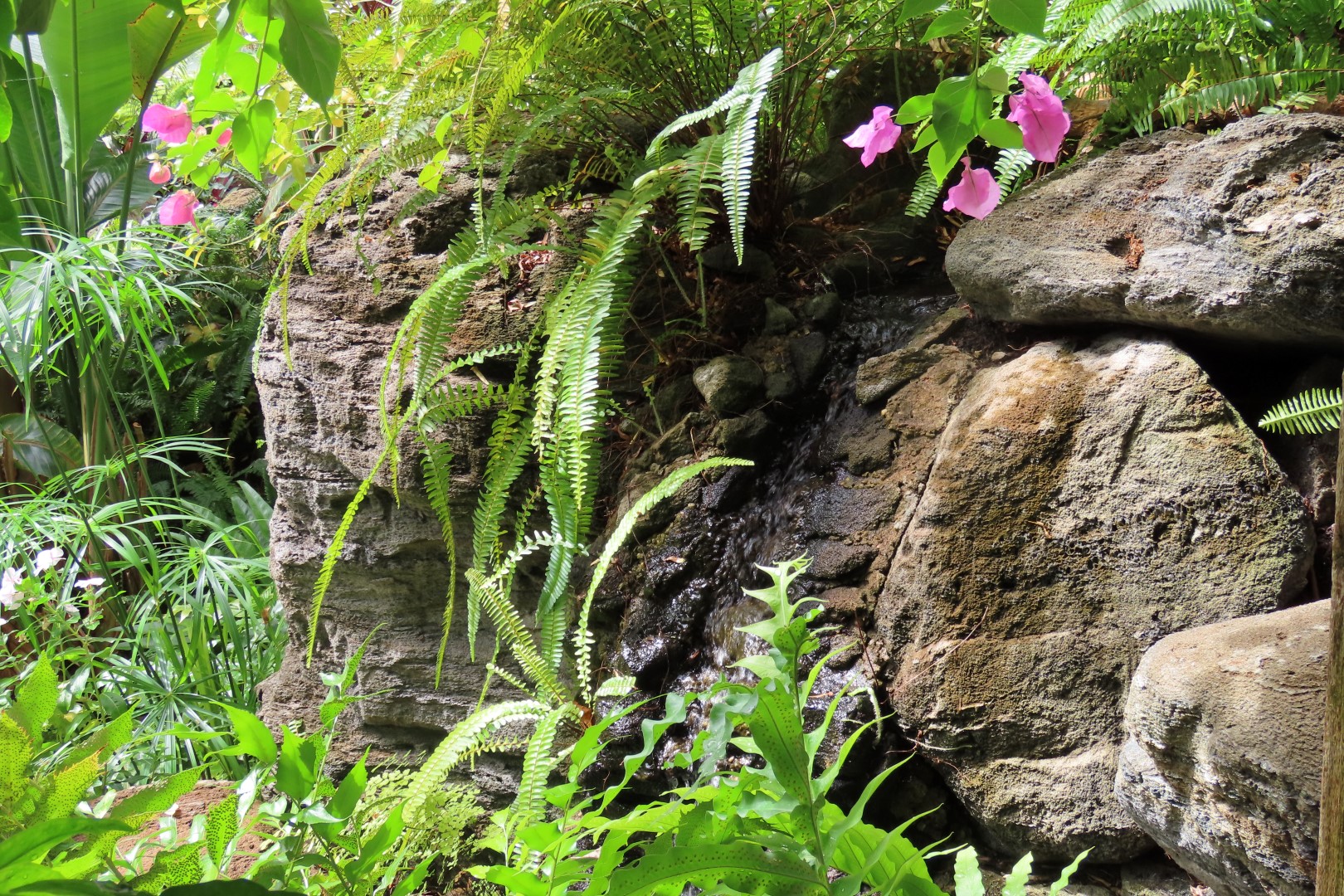 University of Alberta Botanical Gardens 58 of 62 (#8215)