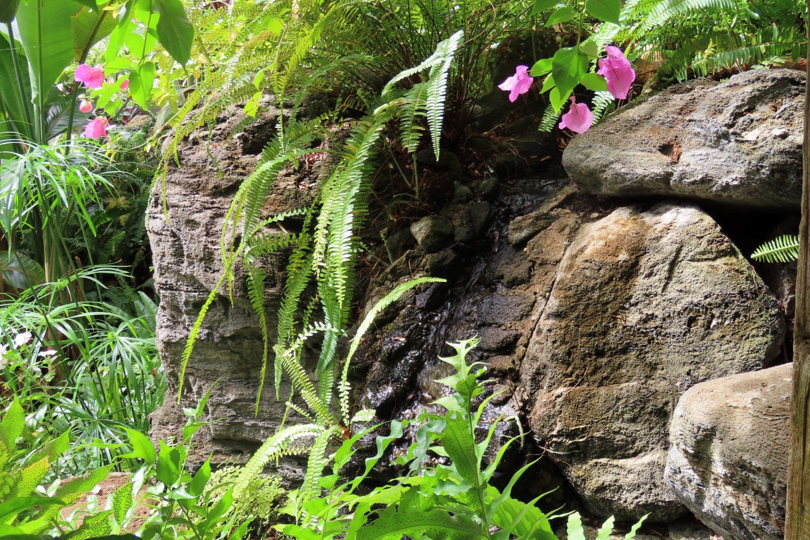 University of Alberta Botanical Gardens 59 of 62 (#8216)