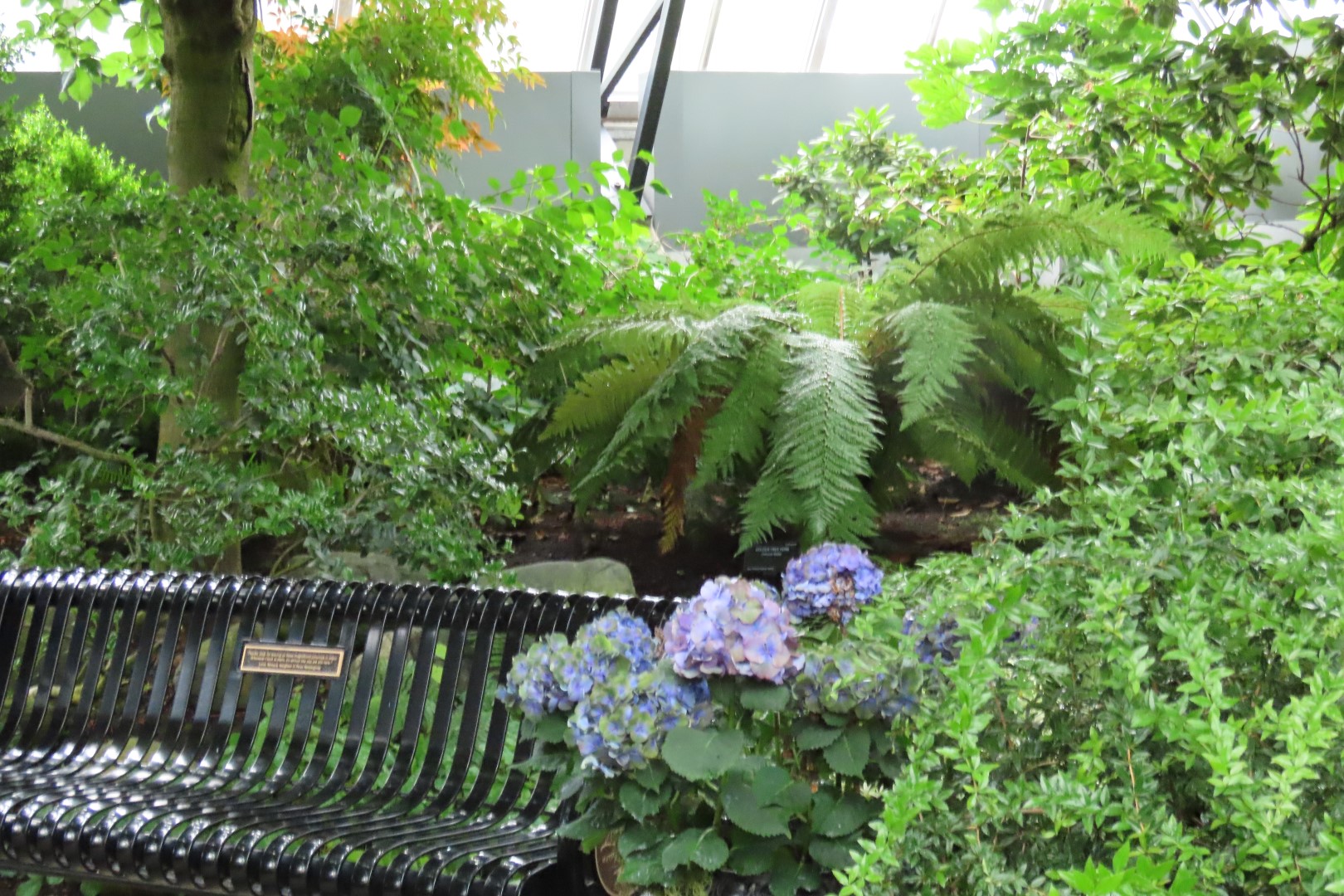 Muttart Conservatory in Edmonton, Alberta  7 of 56 (#8227)