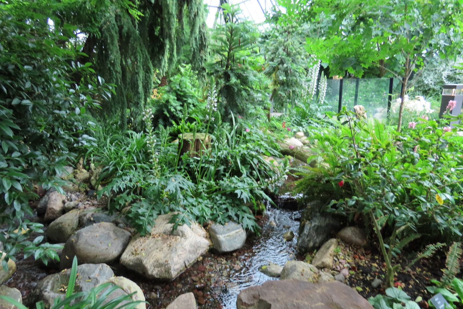 Muttart Conservatory in Edmonton, Alberta  9 of 56 (#8229)