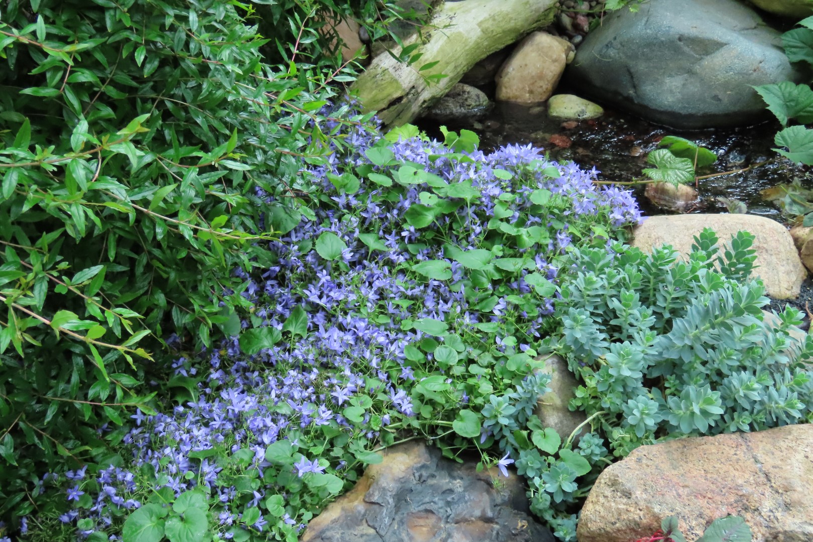 Muttart Conservatory in Edmonton, Alberta 11 of 56 (#8231)
