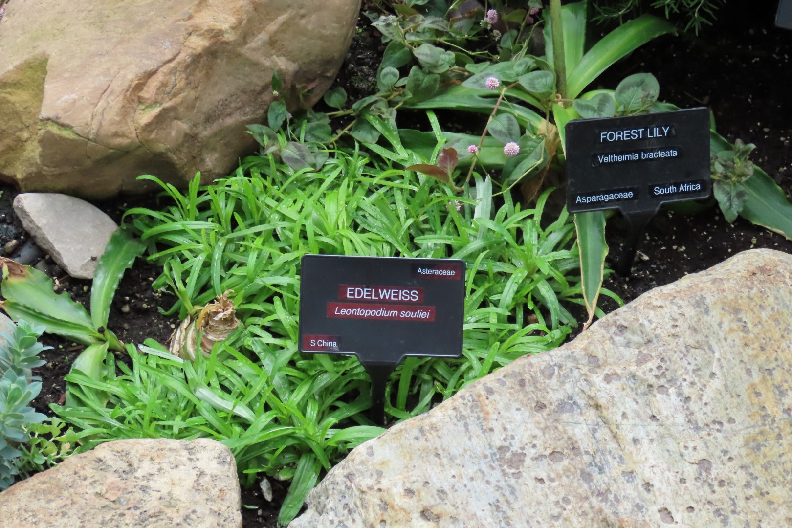 Muttart Conservatory in Edmonton, Alberta 12 of 56 (#8232)