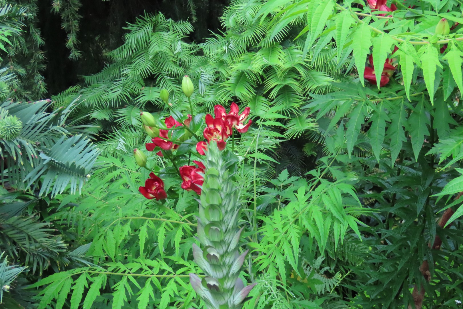 Muttart Conservatory in Edmonton, Alberta 14 of 56 (#8234)