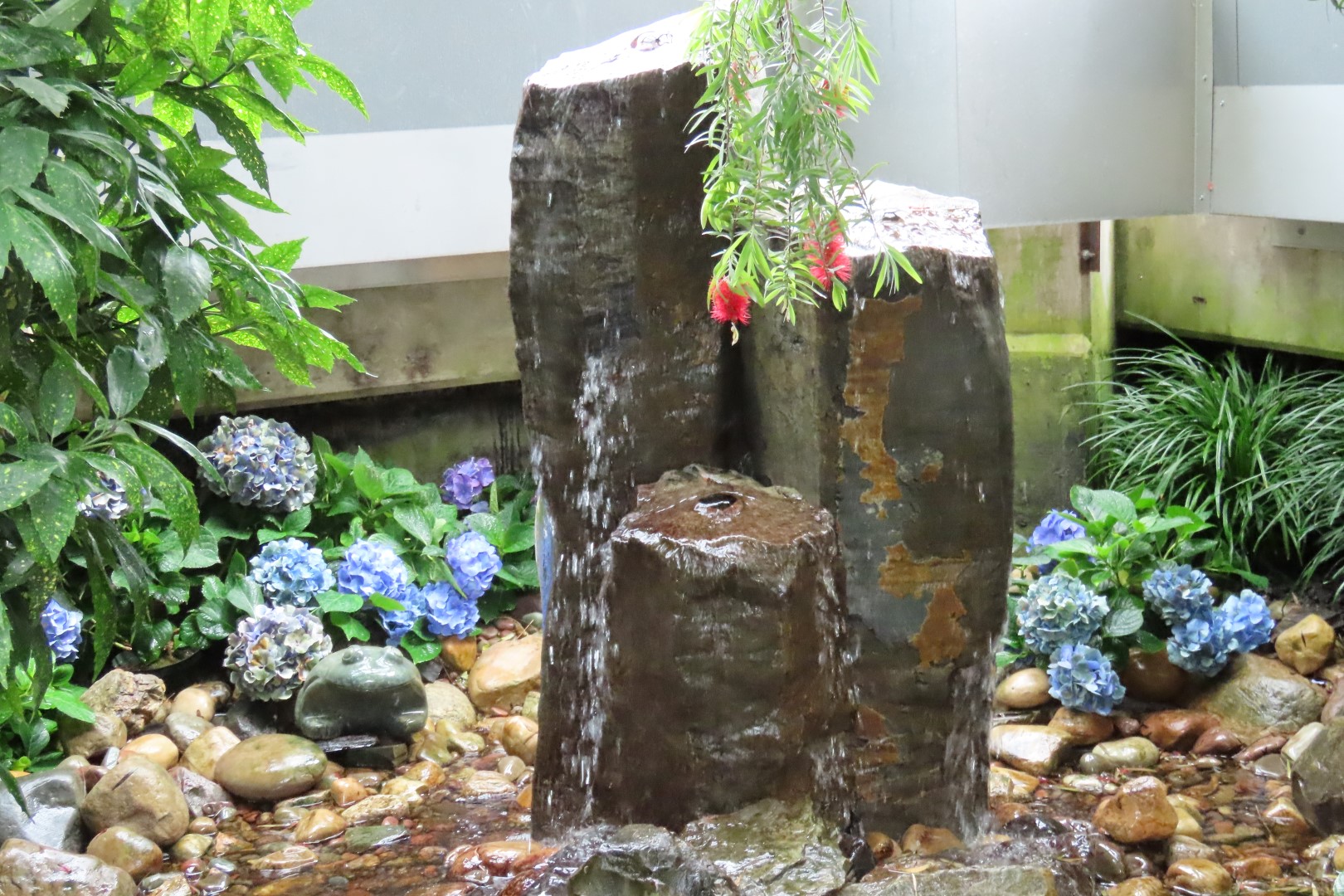 Muttart Conservatory in Edmonton, Alberta 16 of 56 (#8236)