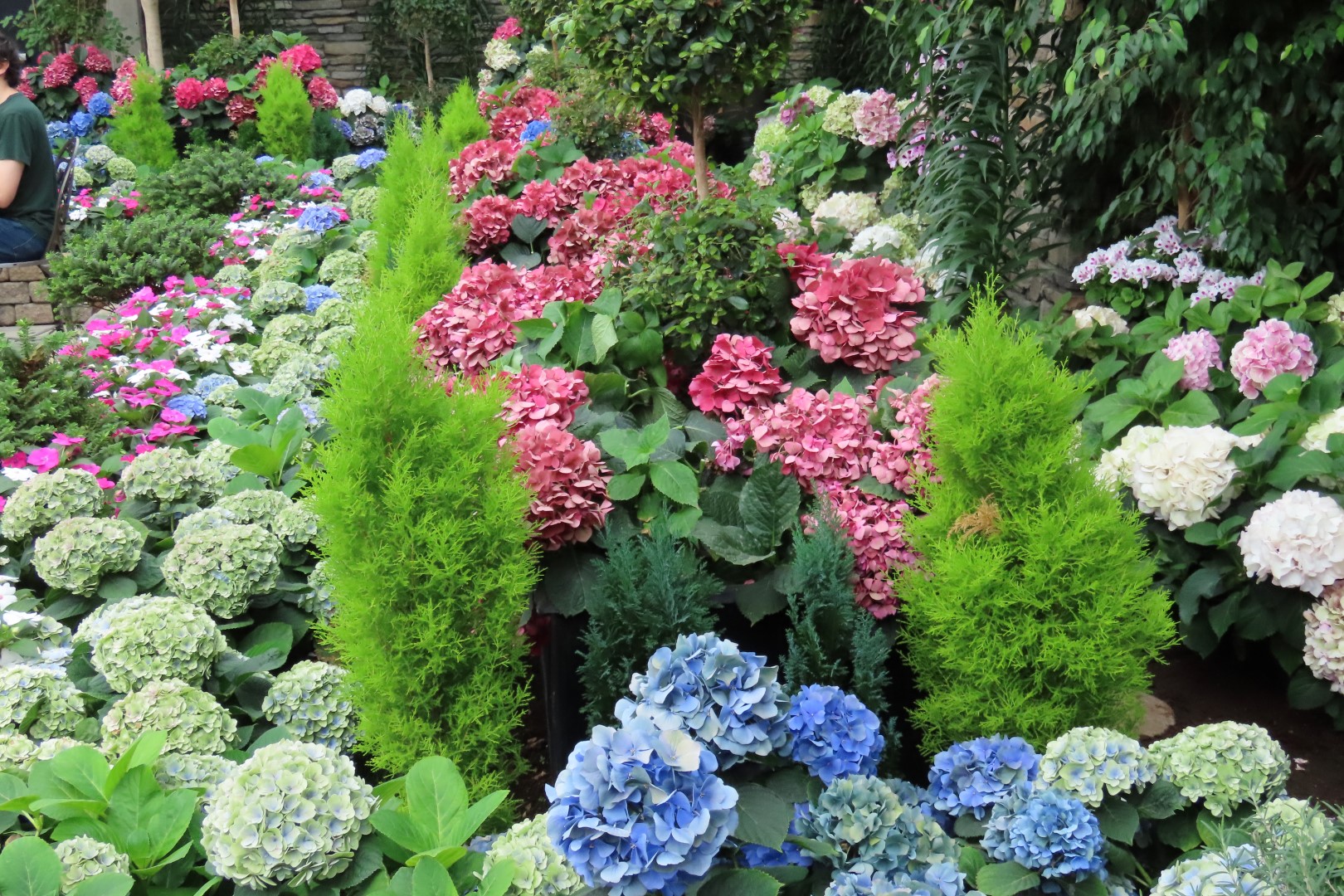 Muttart Conservatory in Edmonton, Alberta 18 of 56 (#8238)