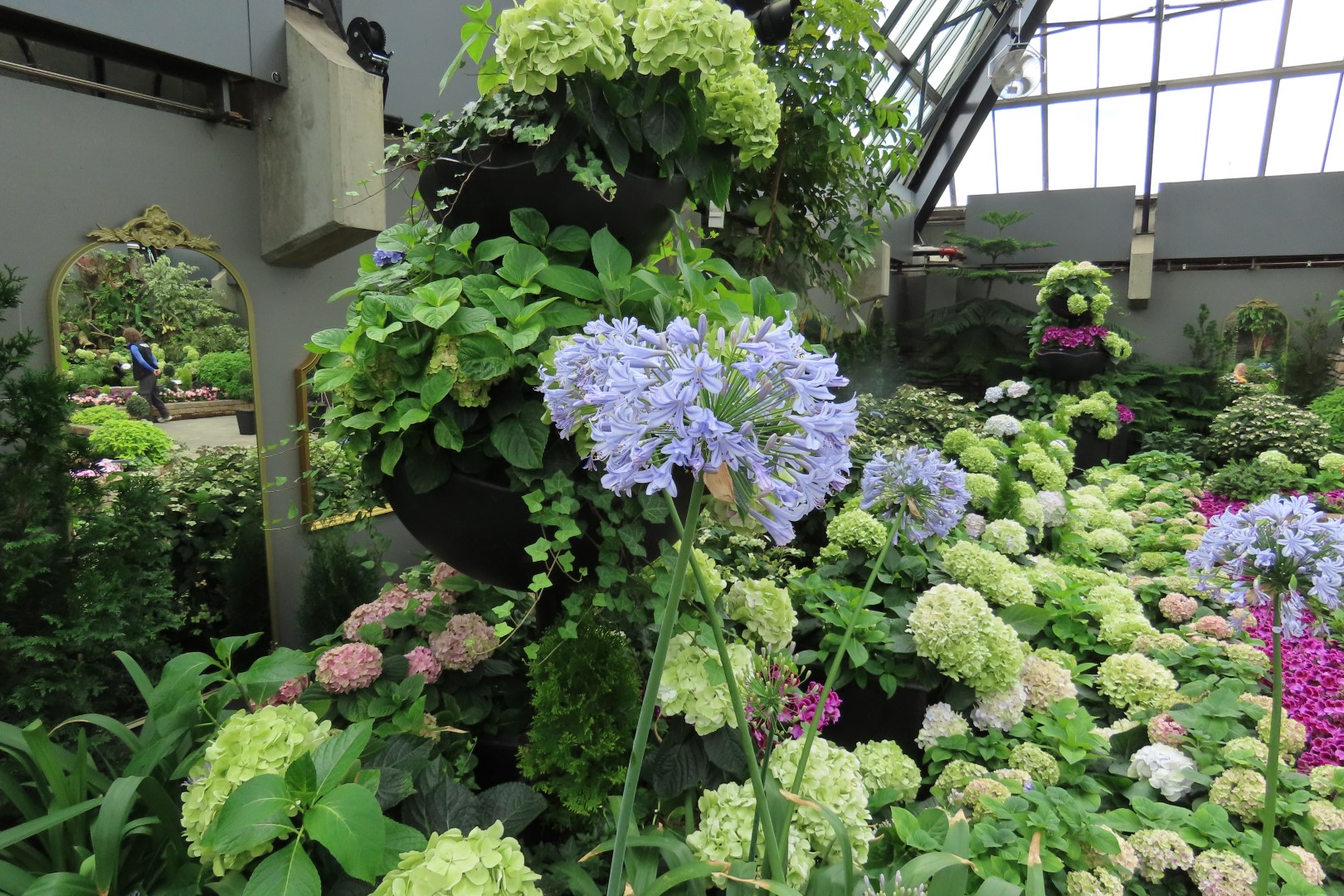 Muttart Conservatory in Edmonton, Alberta 21 of 56 (#8241)