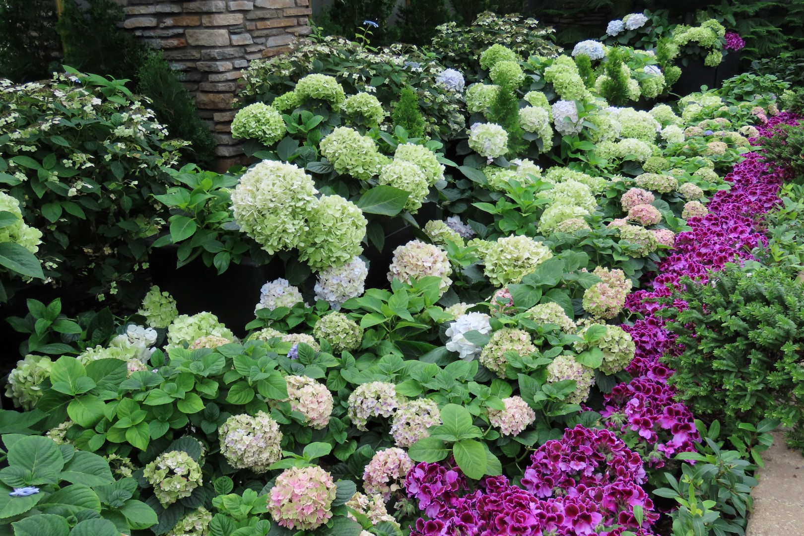 Muttart Conservatory in Edmonton, Alberta 22 of 56 (#8242)