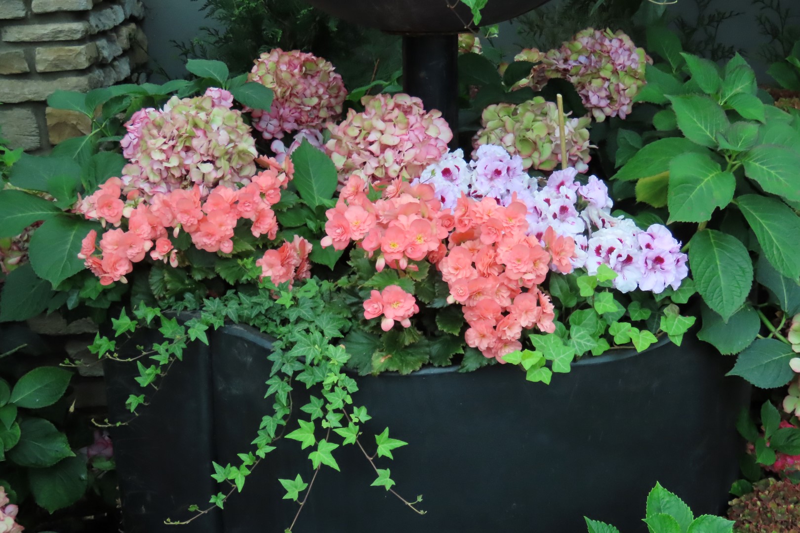 Muttart Conservatory in Edmonton, Alberta 30 of 56 (#8250)