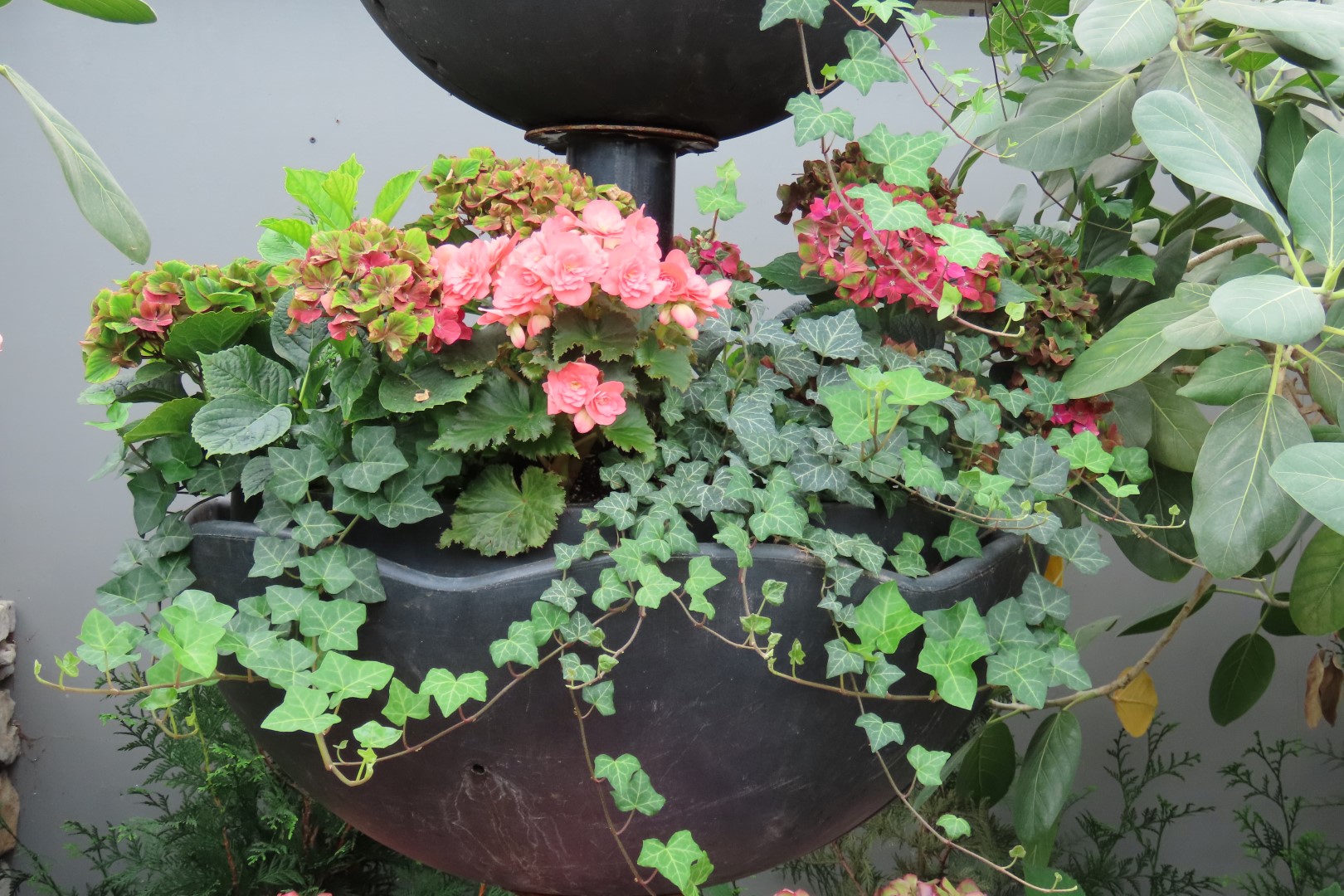 Muttart Conservatory in Edmonton, Alberta 31 of 56 (#8251)