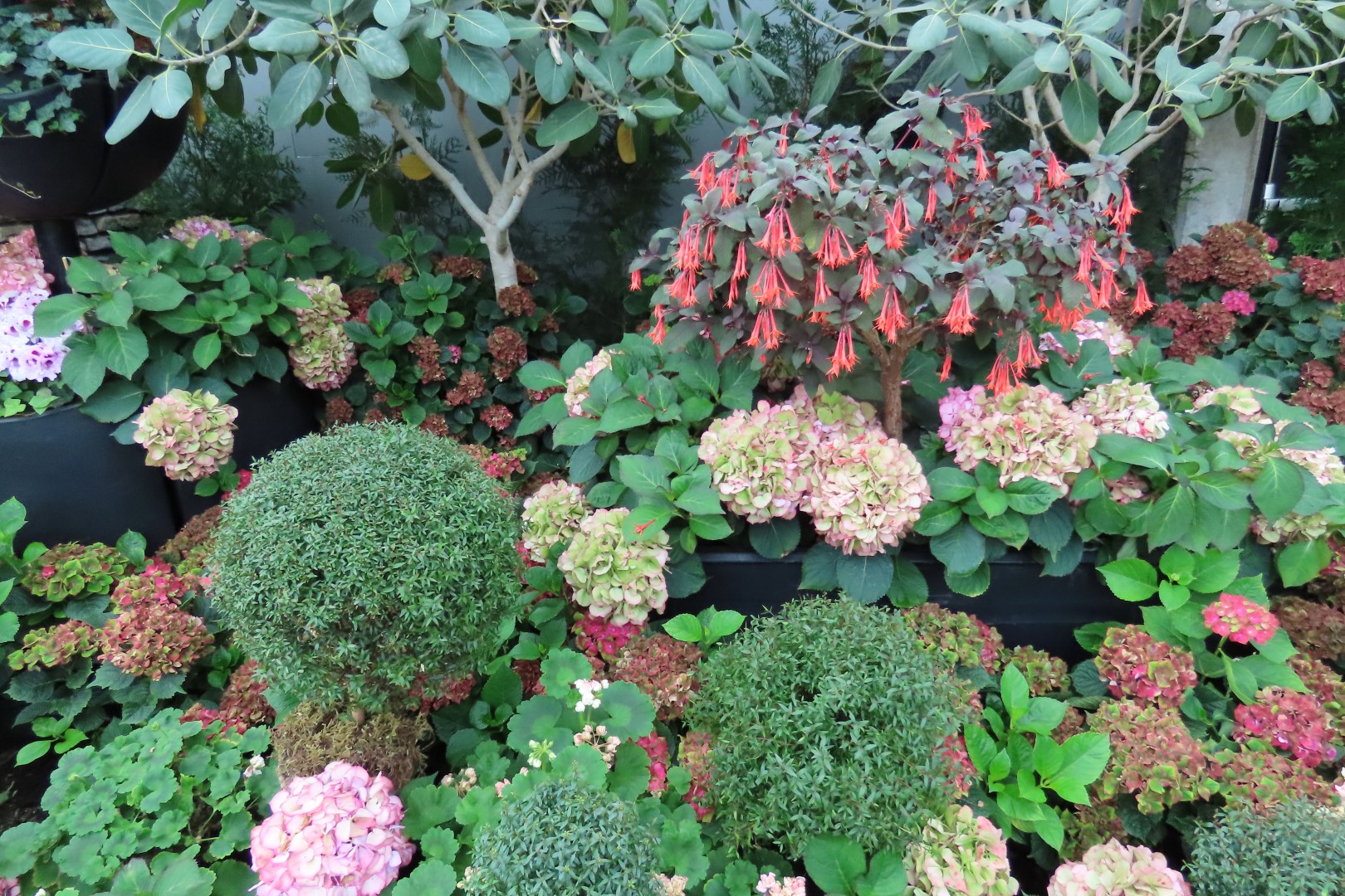 Muttart Conservatory in Edmonton, Alberta 34 of 56 (#8254)