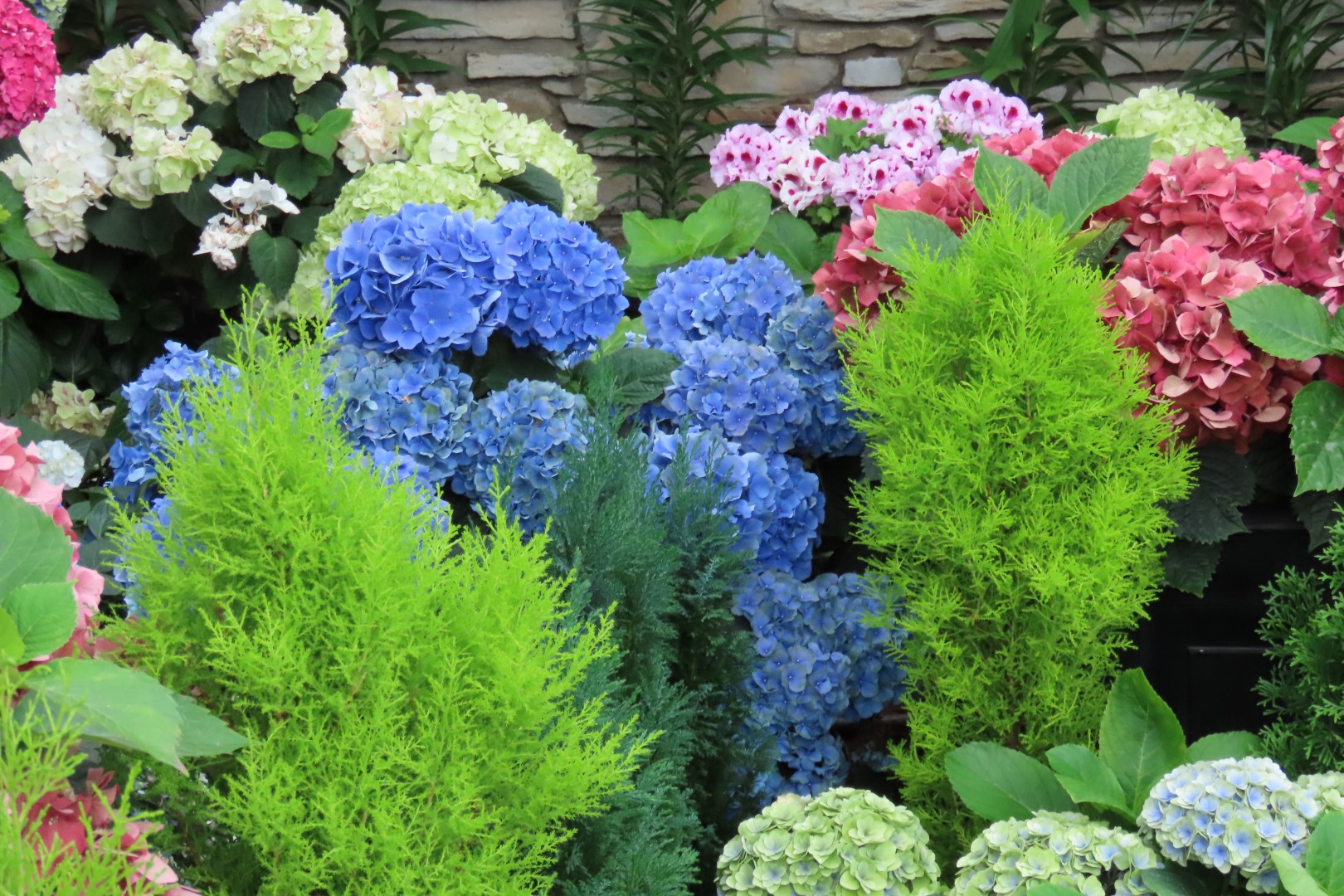 Muttart Conservatory in Edmonton, Alberta 36 of 56 (#8256)