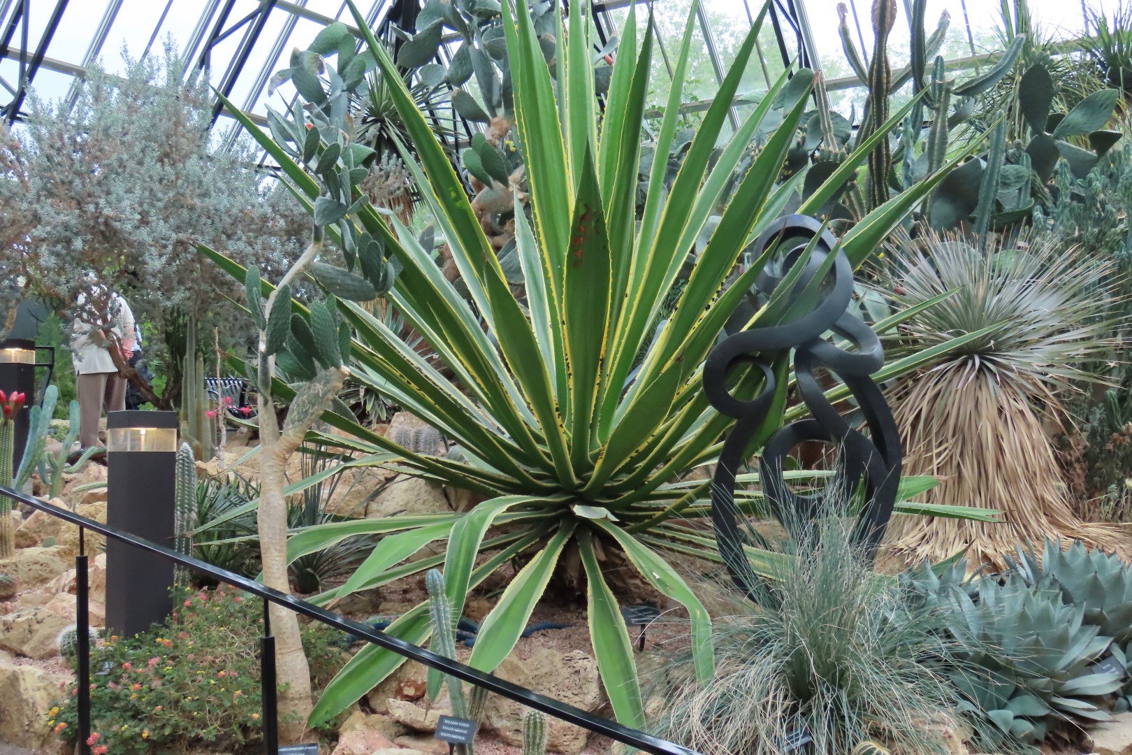 Muttart Conservatory in Edmonton, Alberta 42 of 56 (#8262)