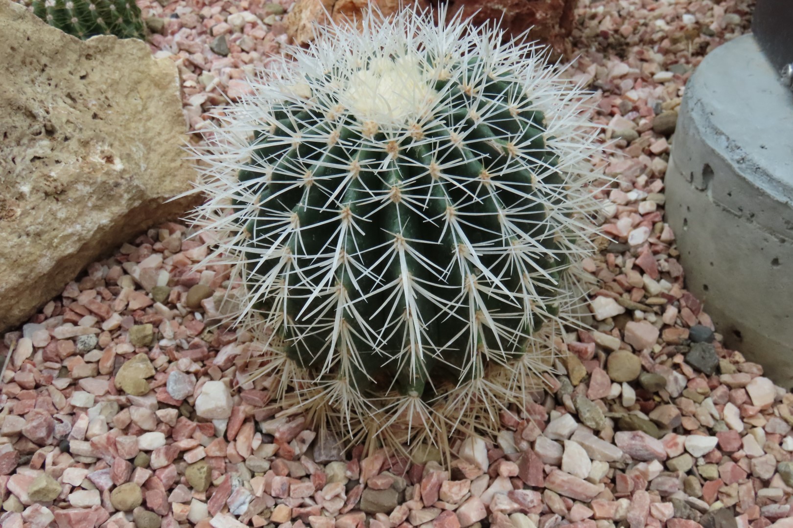 Muttart Conservatory in Edmonton, Alberta 47 of 56 (#8267)