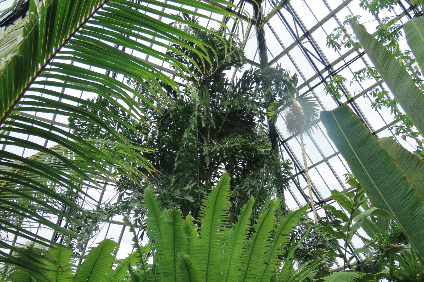 Muttart Conservatory in Edmonton, Alberta 50 of 56 (#8270)