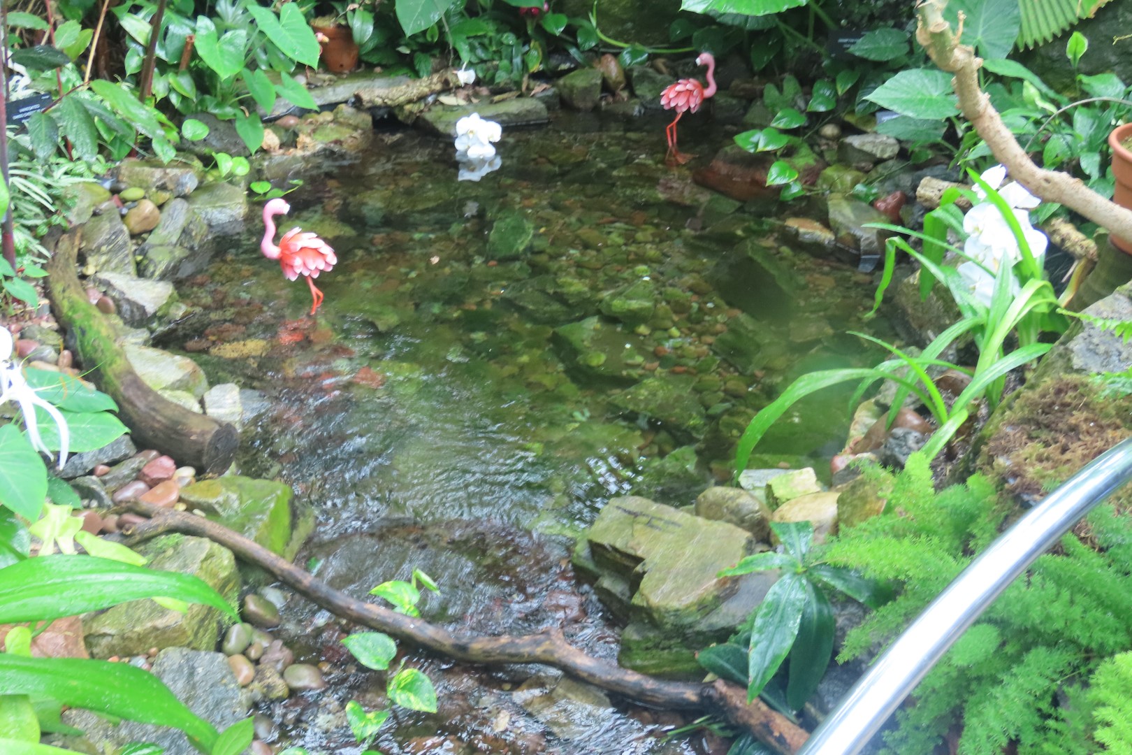 Muttart Conservatory in Edmonton, Alberta 54 of 56 (#8274)