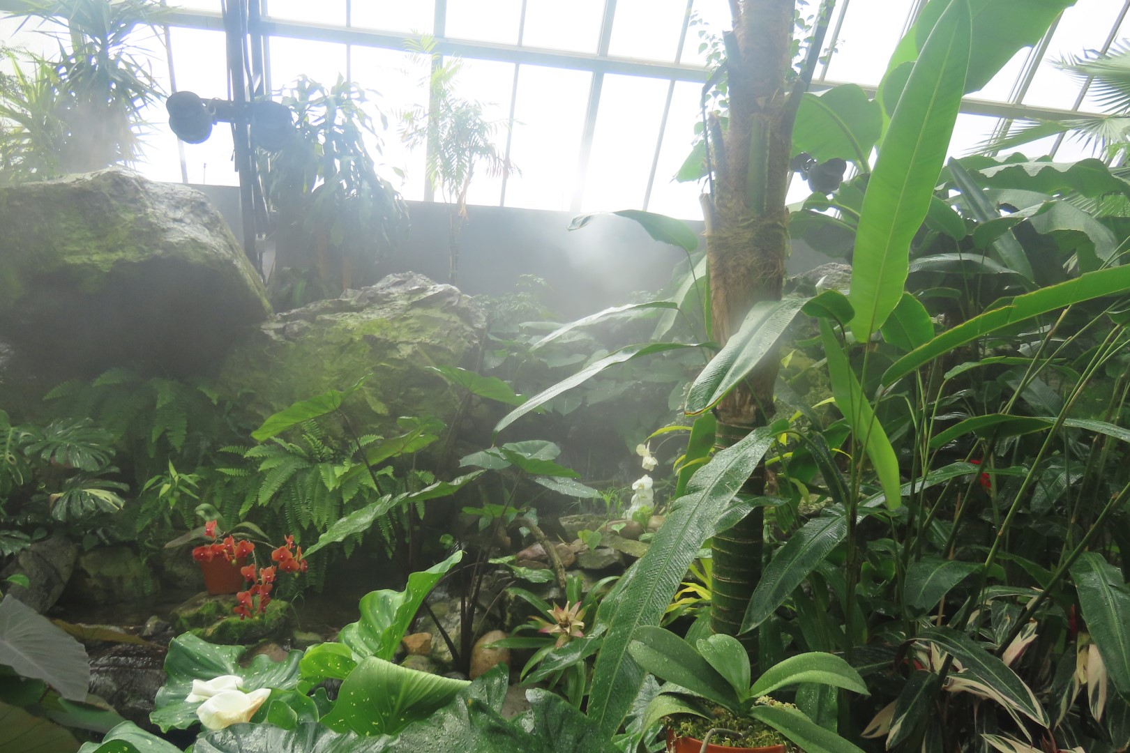 Muttart Conservatory in Edmonton, Alberta 56 of 56 (#8276)