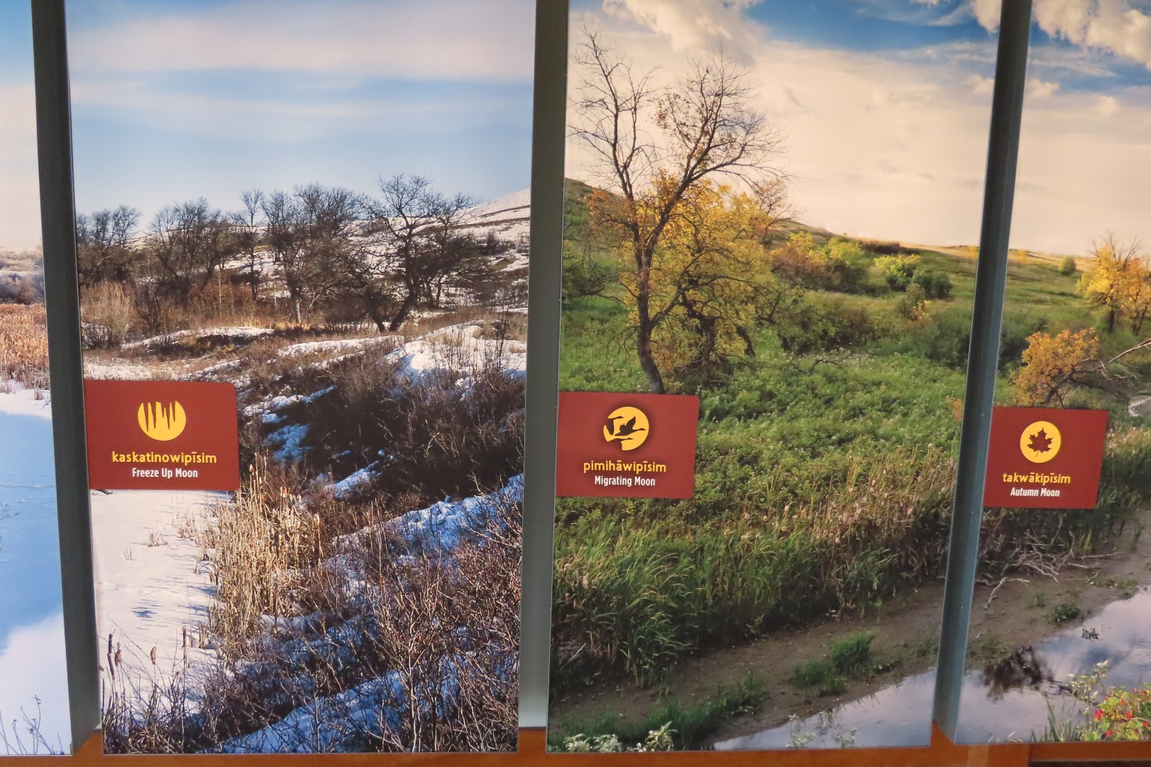 Wanuskewin Center in Saskatoon, Saskatchewan 25 of 85 (#8304)