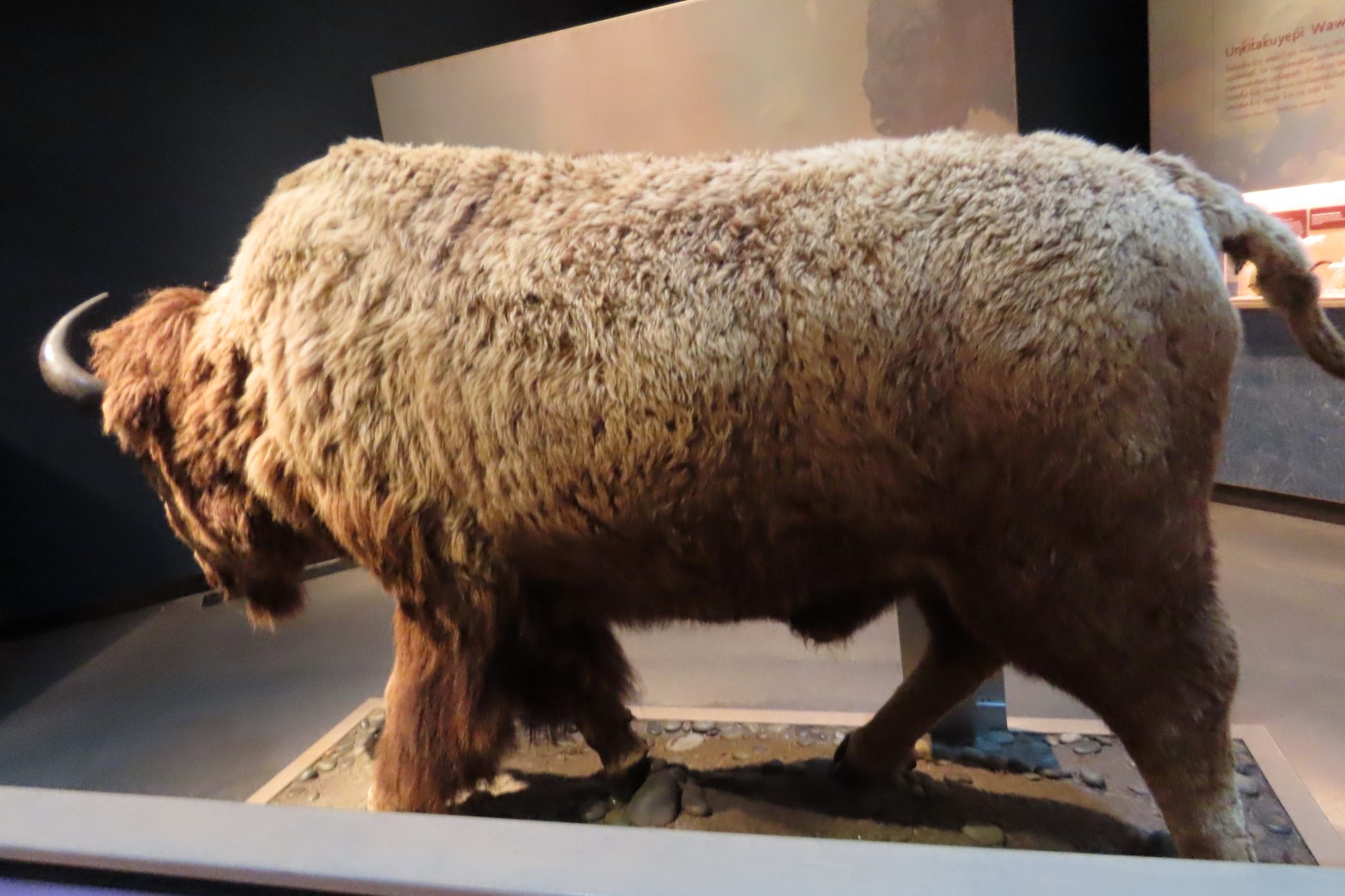 Wanuskewin Center in Saskatoon, Saskatchewan 46 of 85 (#8325)