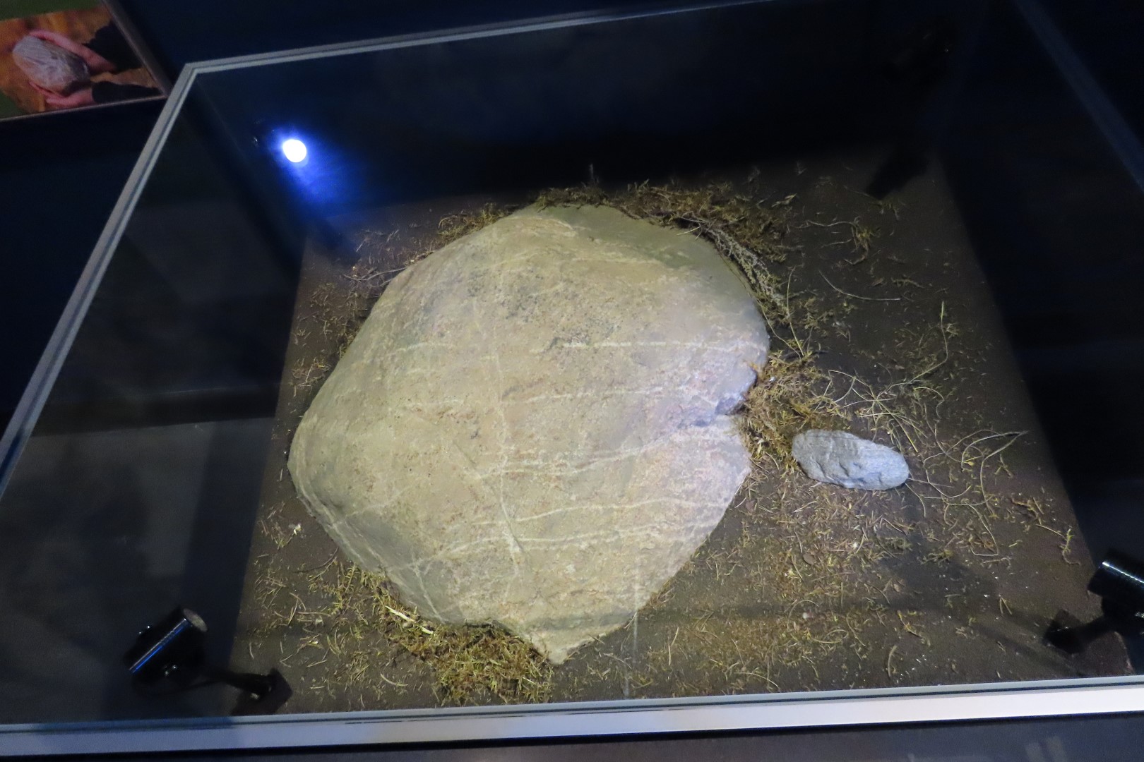 Wanuskewin Center in Saskatoon, Saskatchewan 53 of 85 (#8332)