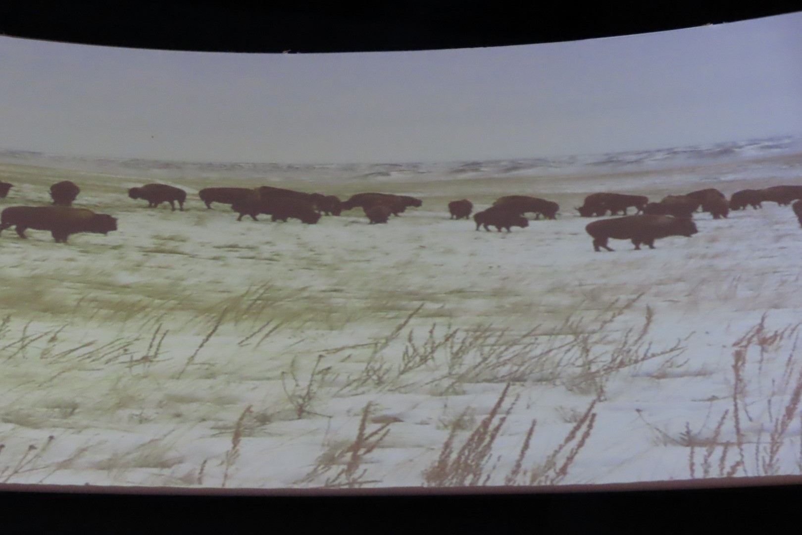 Wanuskewin Center in Saskatoon, Saskatchewan 79 of 85 (#8358)