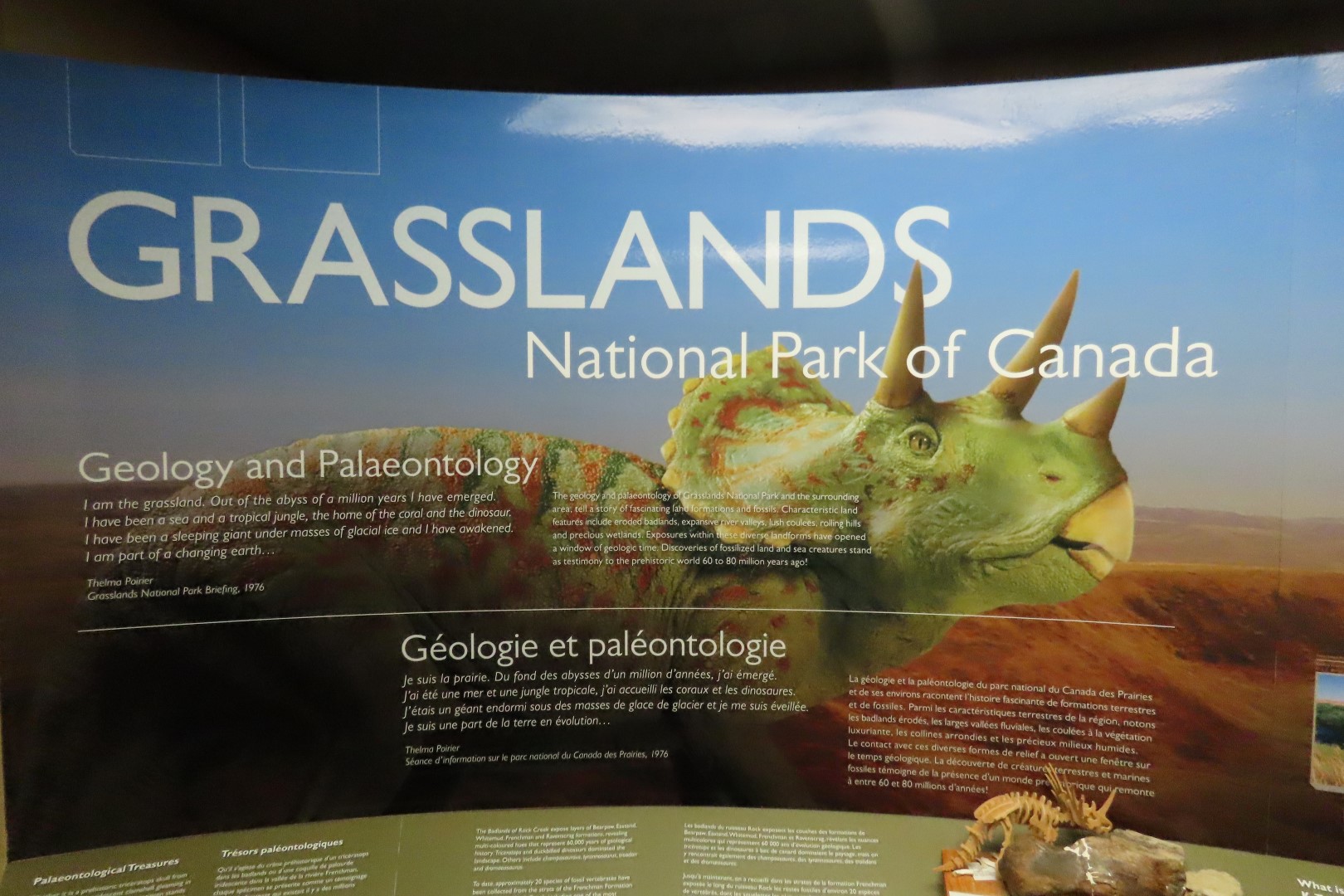 Grasslands National Park  2 of  8 (#8366)