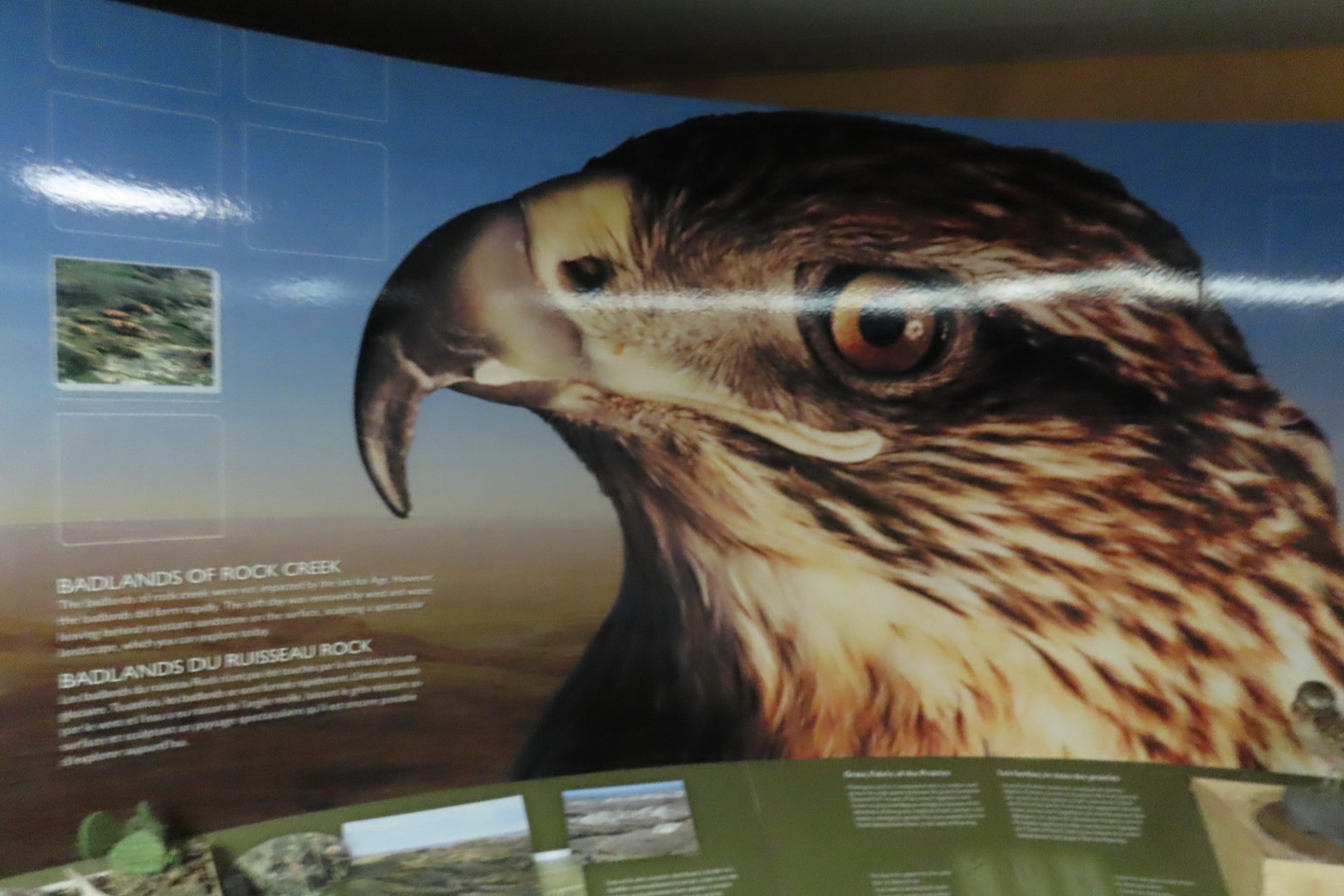 Grasslands National Park  4 of  8 (#8368)